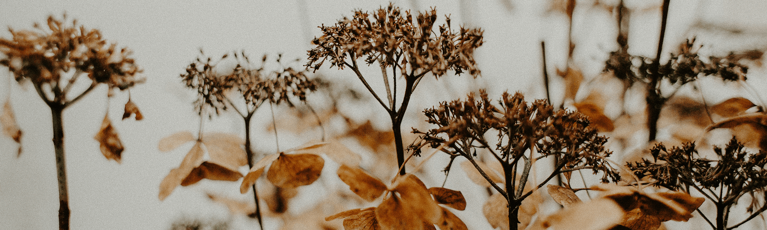 Autumnal equinox: 6 Ways to flourish this season