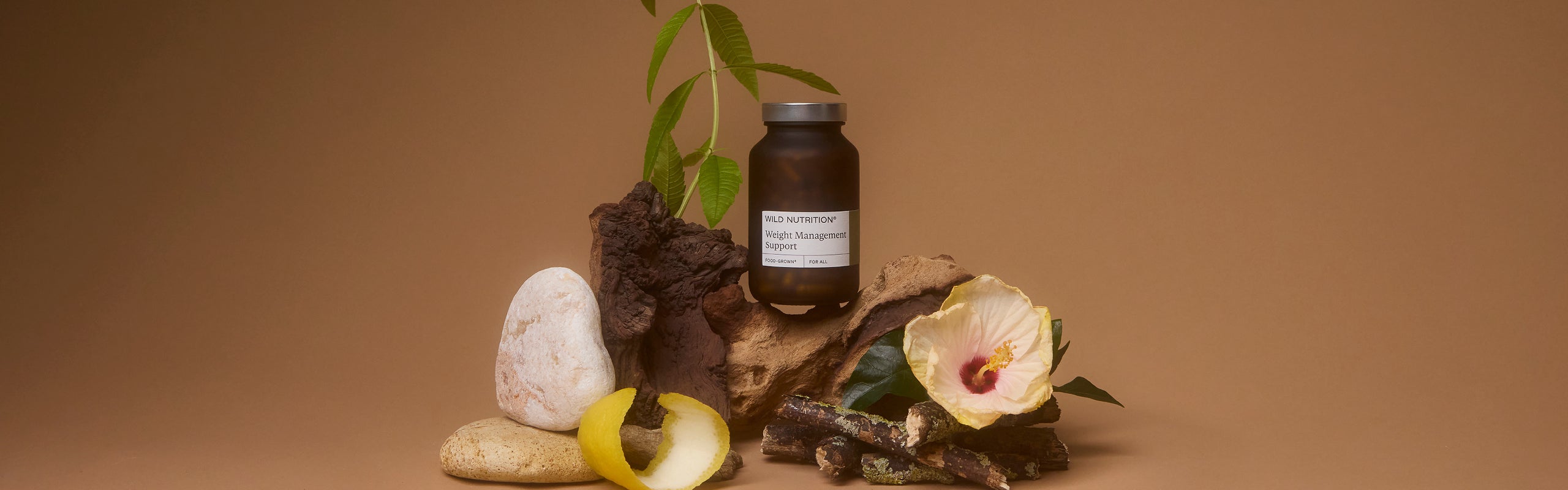 Weight Management Support: Q+A with our Head of Nutrition