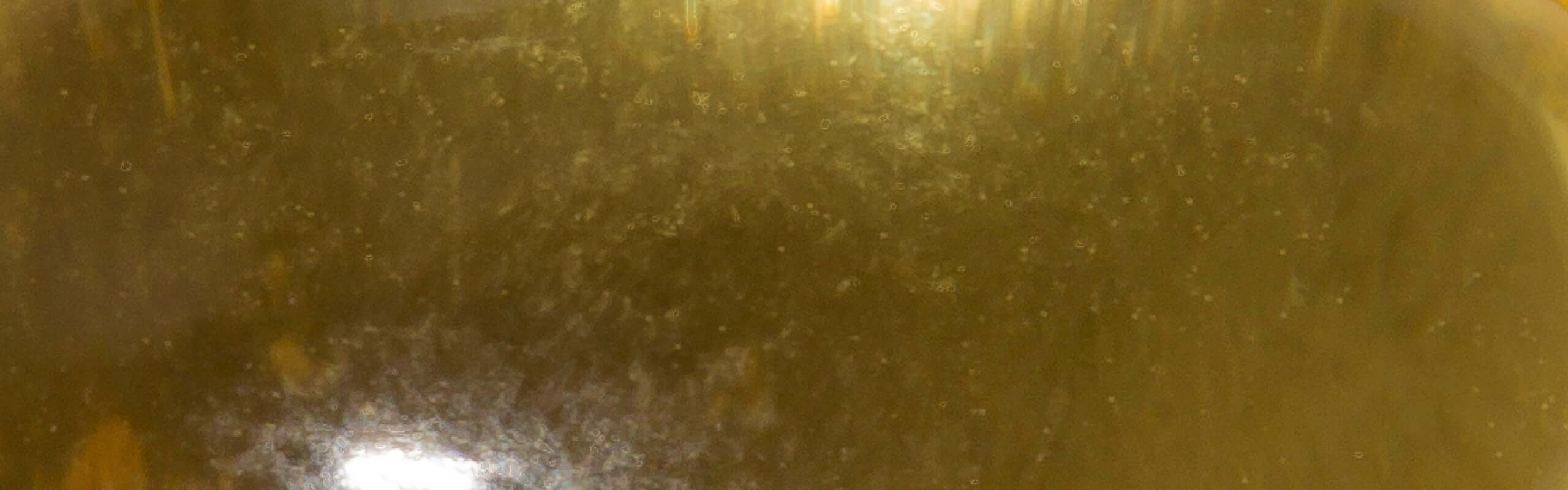AlaskOmega® Omega 3