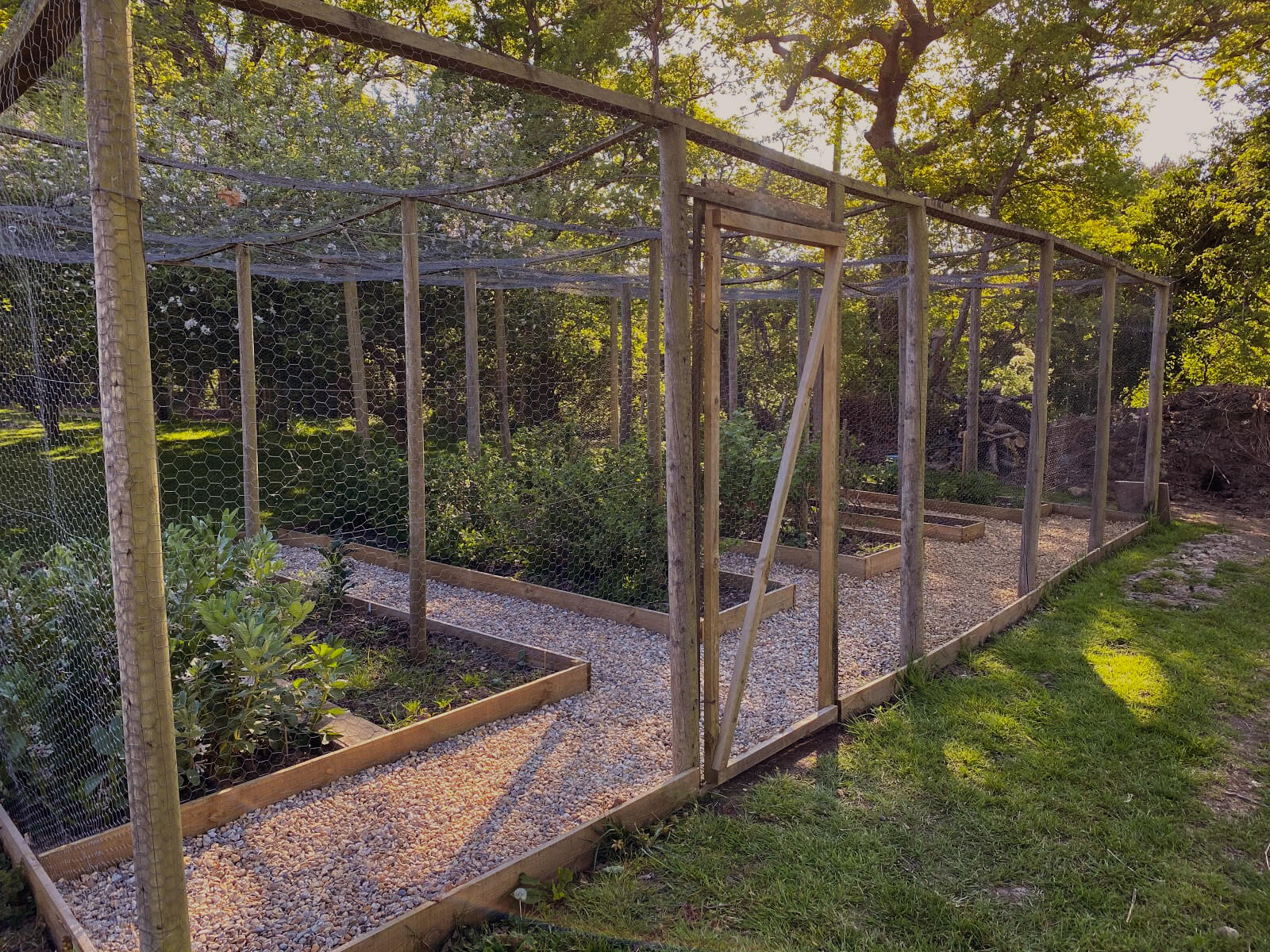 Wild Nutrition garden