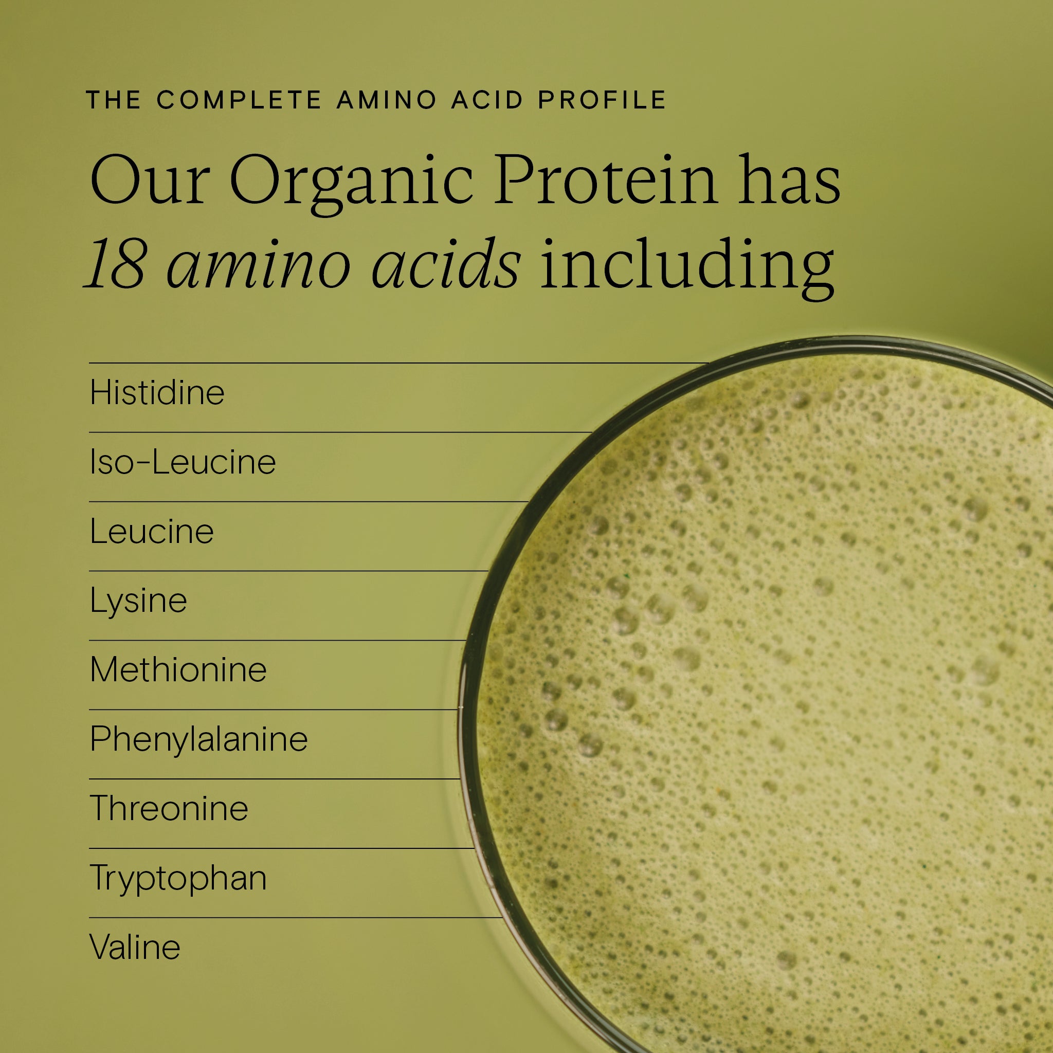 Amino acid profile of Food-Grown® Organic Protein showing 18 essential amino acids including histidine, leucine, and valine.