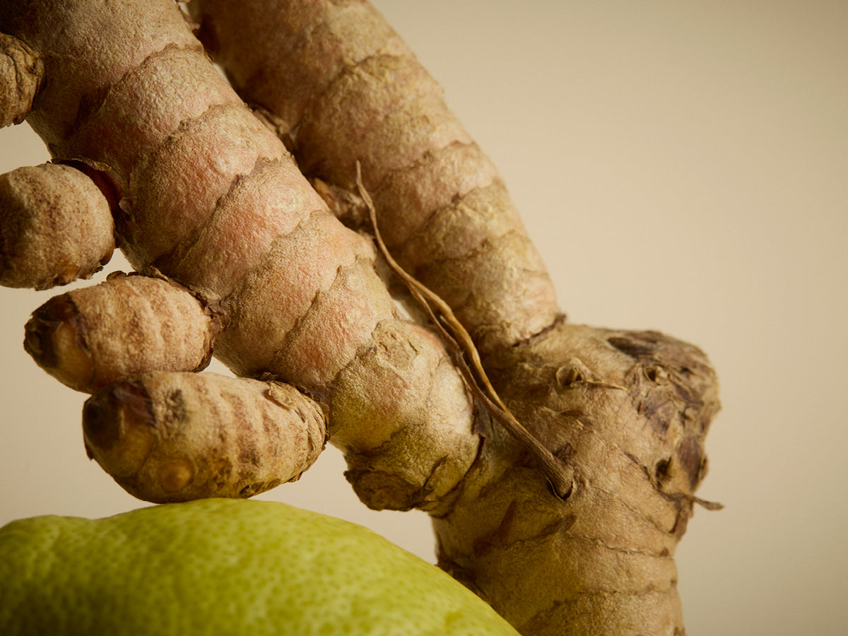 Ginger & Turmeric Wellness Shots