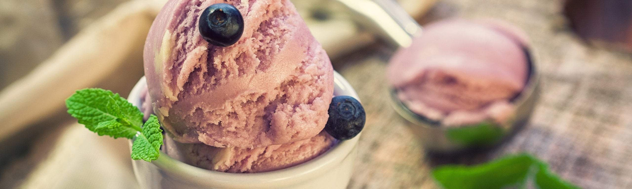 Dairy Free Blueberry Ice Cream