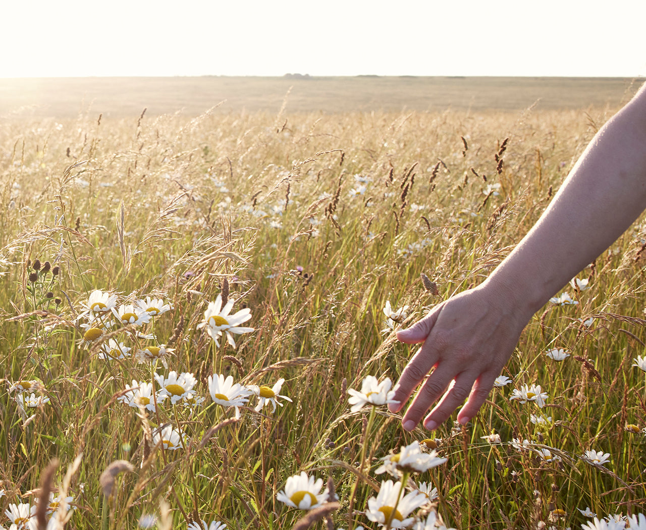 Ep.1 The Fertility Series:  How ovulation and the fertile window work