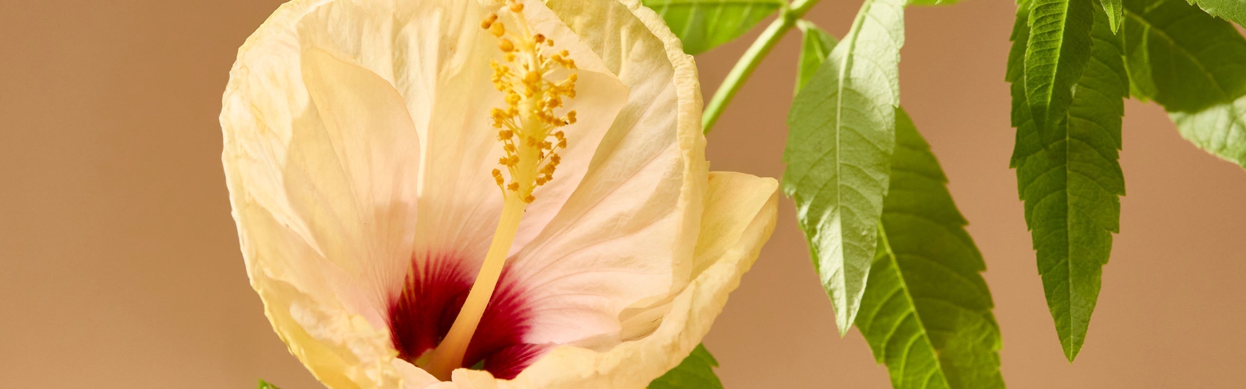 Style & body confidence