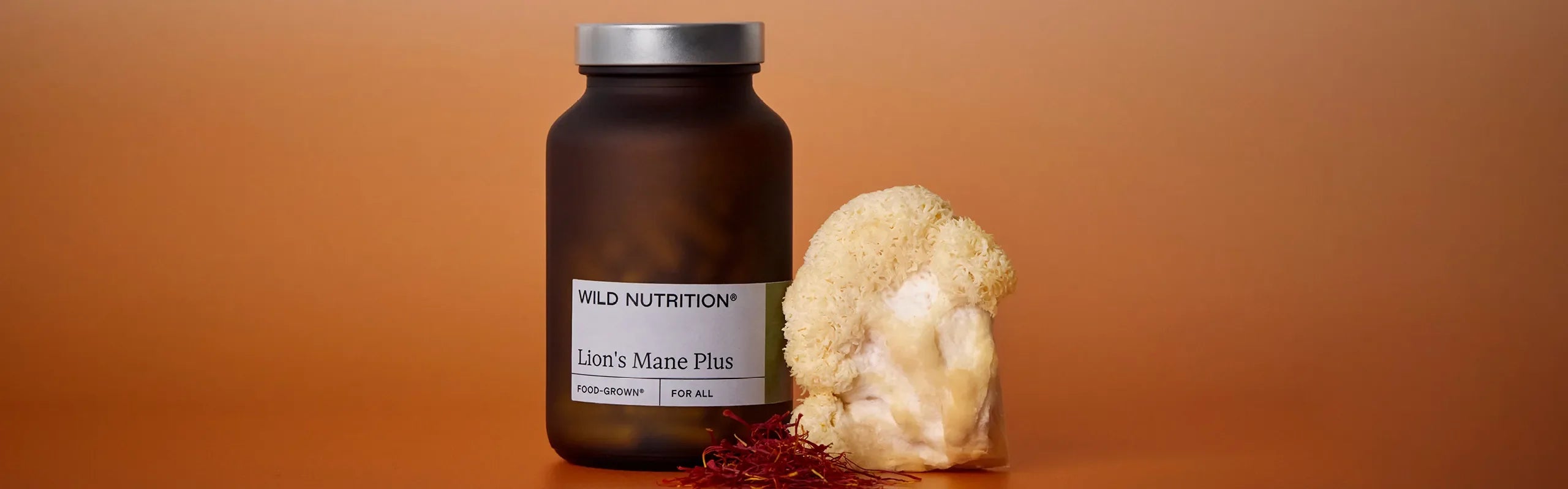 Lion’s Mane Plus: Q+A with our Head of Nutrition, Isabelle