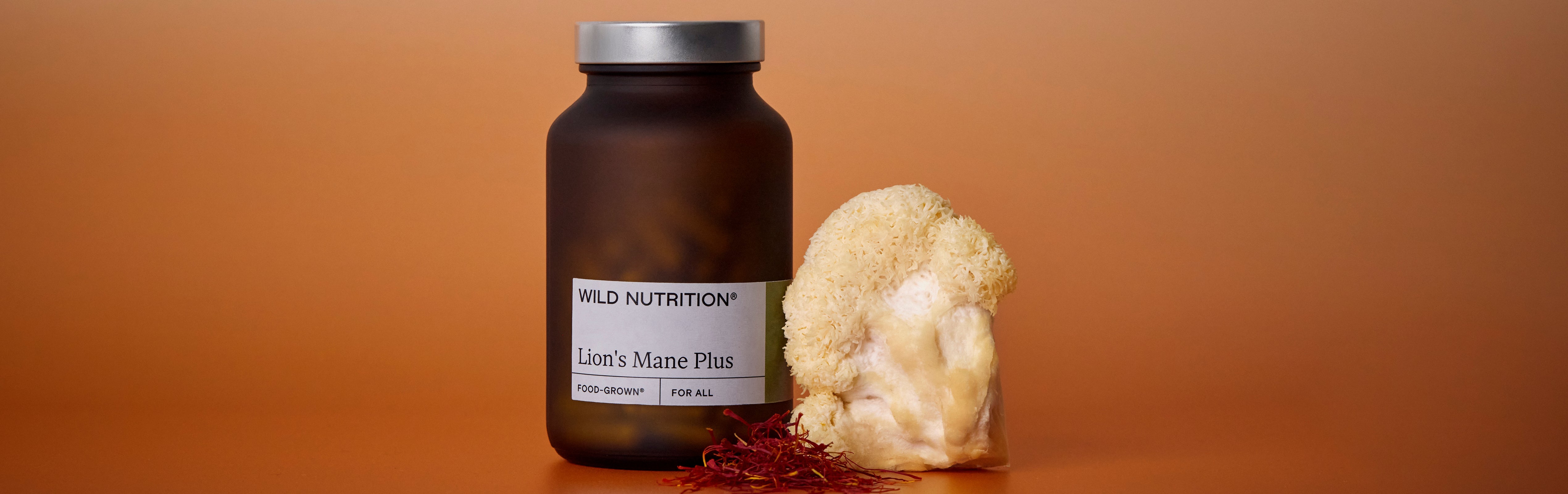 Lion’s Mane Plus: Q+A with our Head of Nutrition, Isabelle