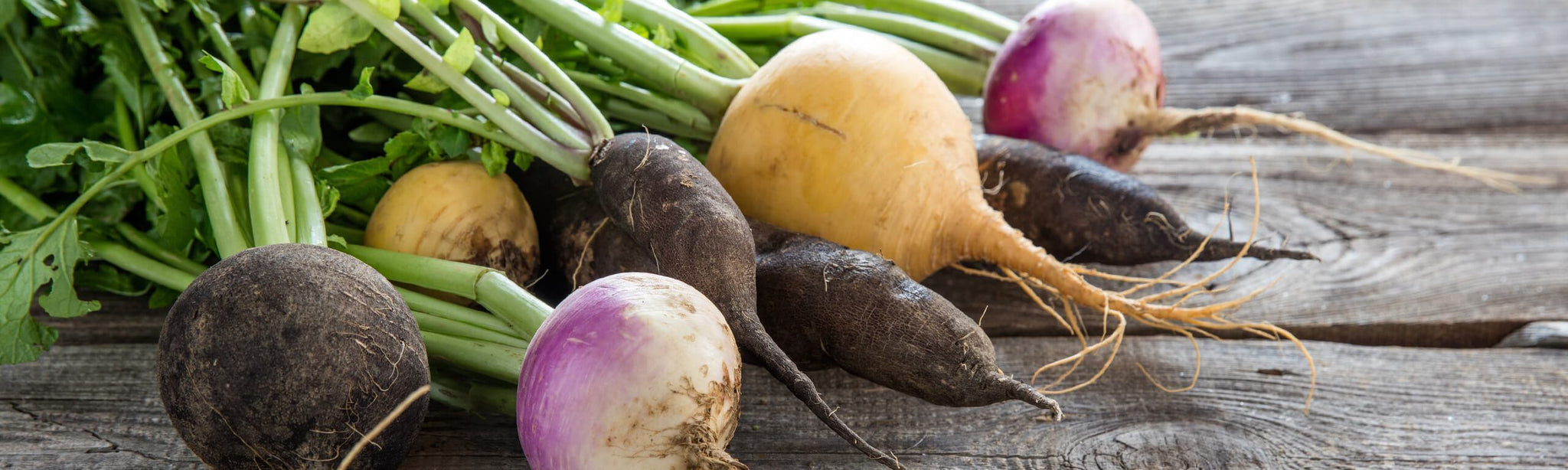 Turnip Crisps