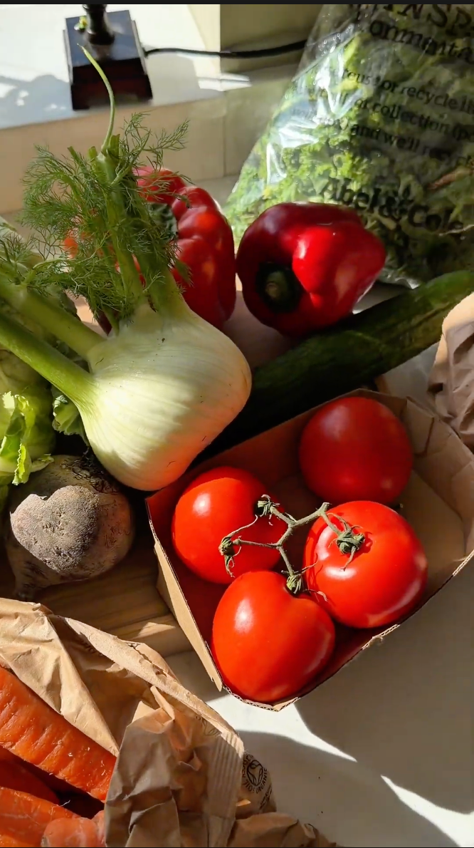 Root to Shoot Zero-Waste Vegetable Broth