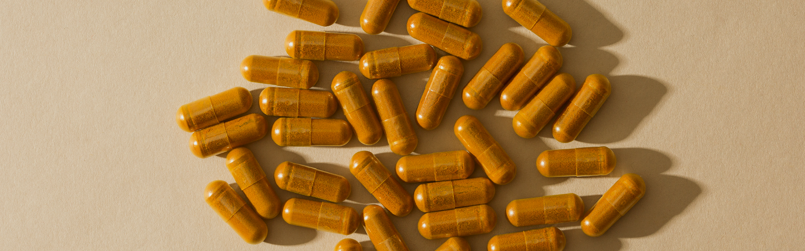 TurmaForte™ Turmeric scientific studies