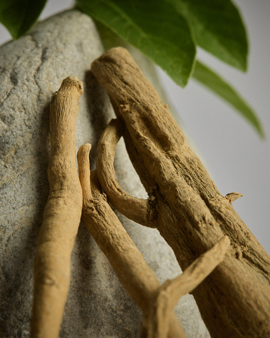 KSM-66® Ashwagandha scientific studies