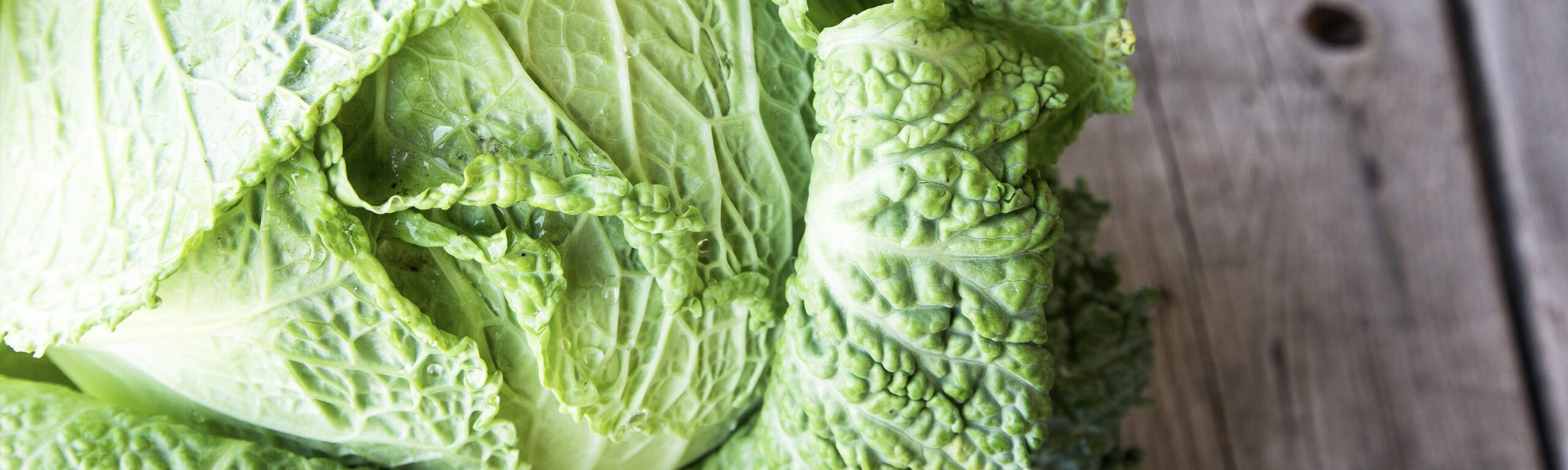 Fermented Sauerkraut