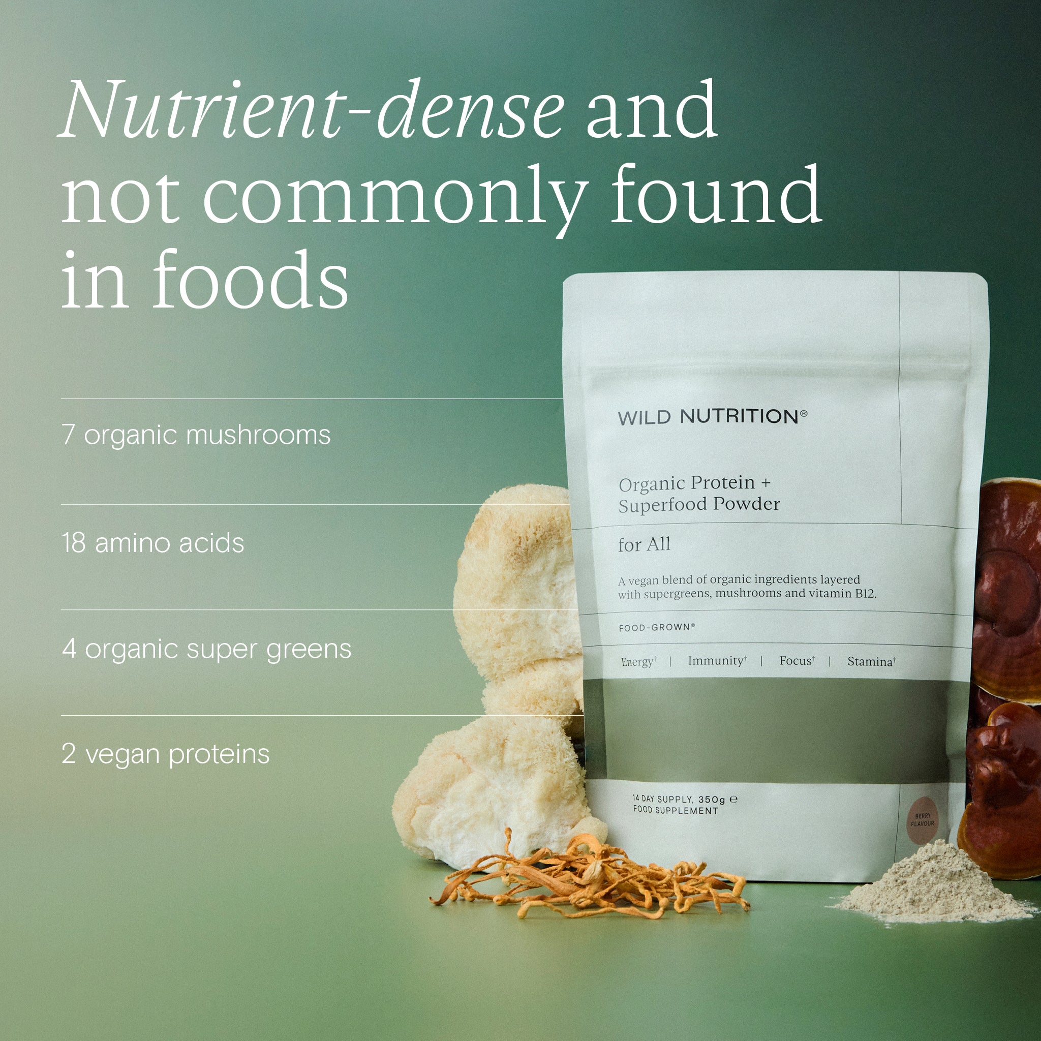 3 for 2 Organic Protein + Superfood Powder