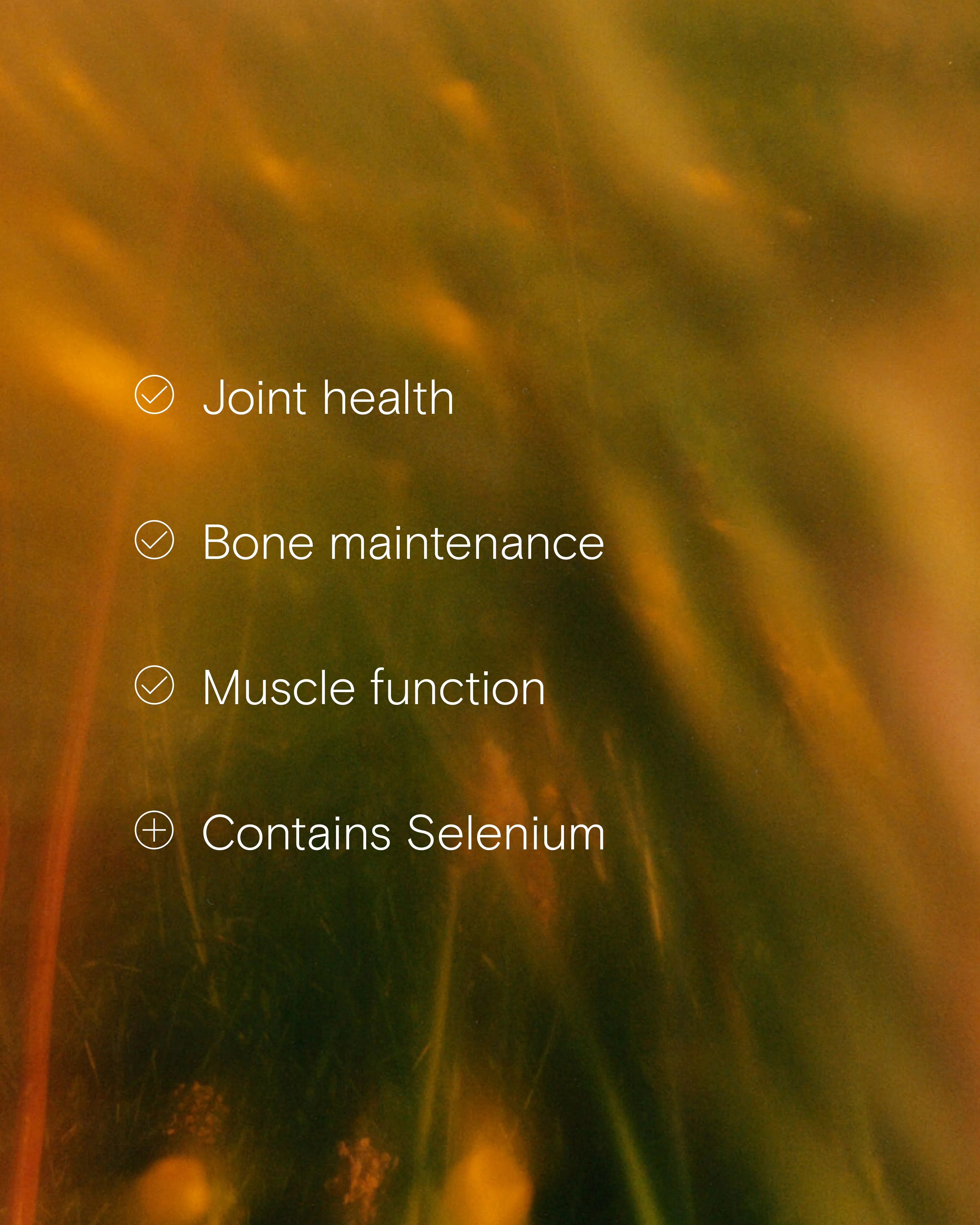 Benefits of the Bone + Muscle Support