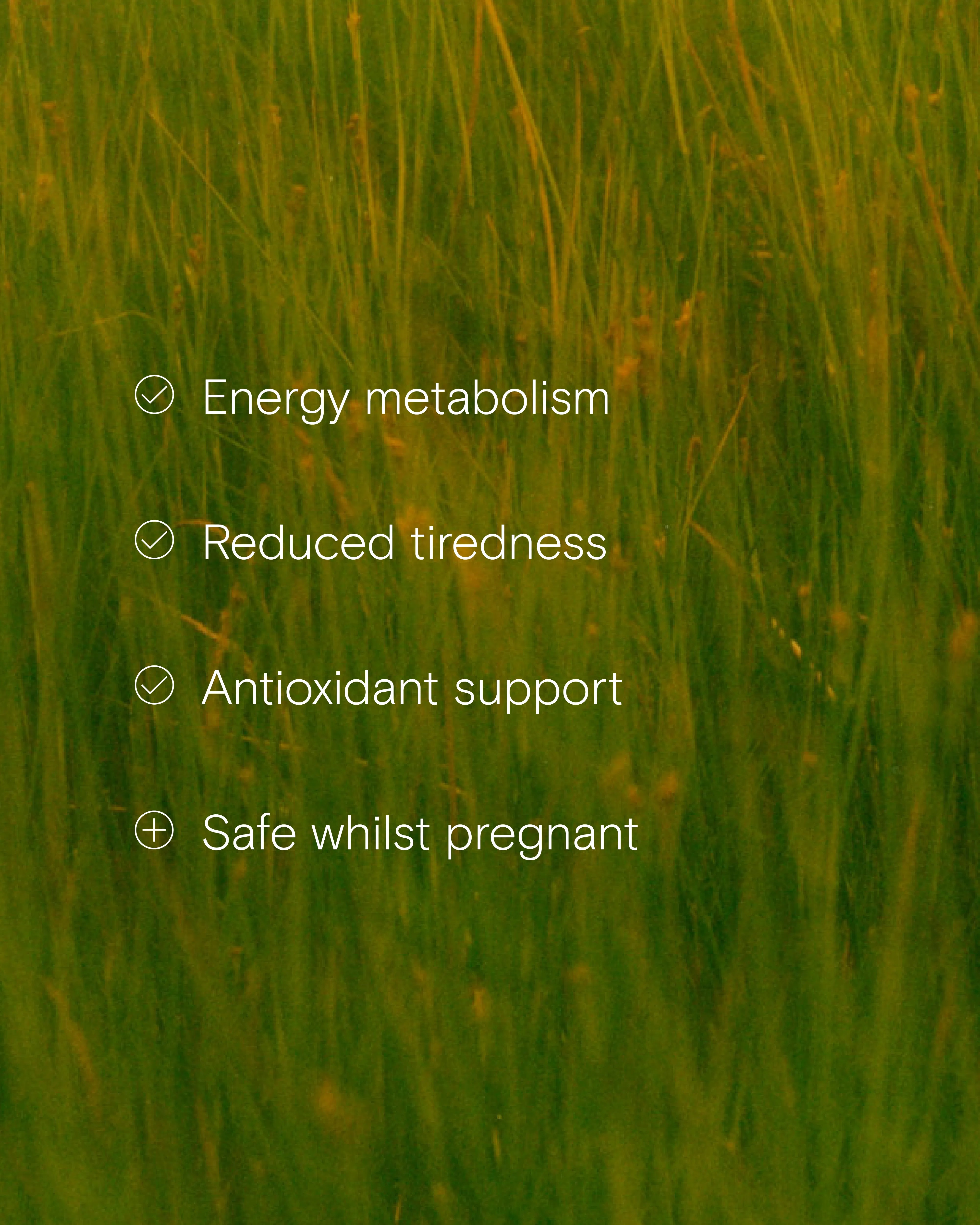 Benefits of the Energy Support