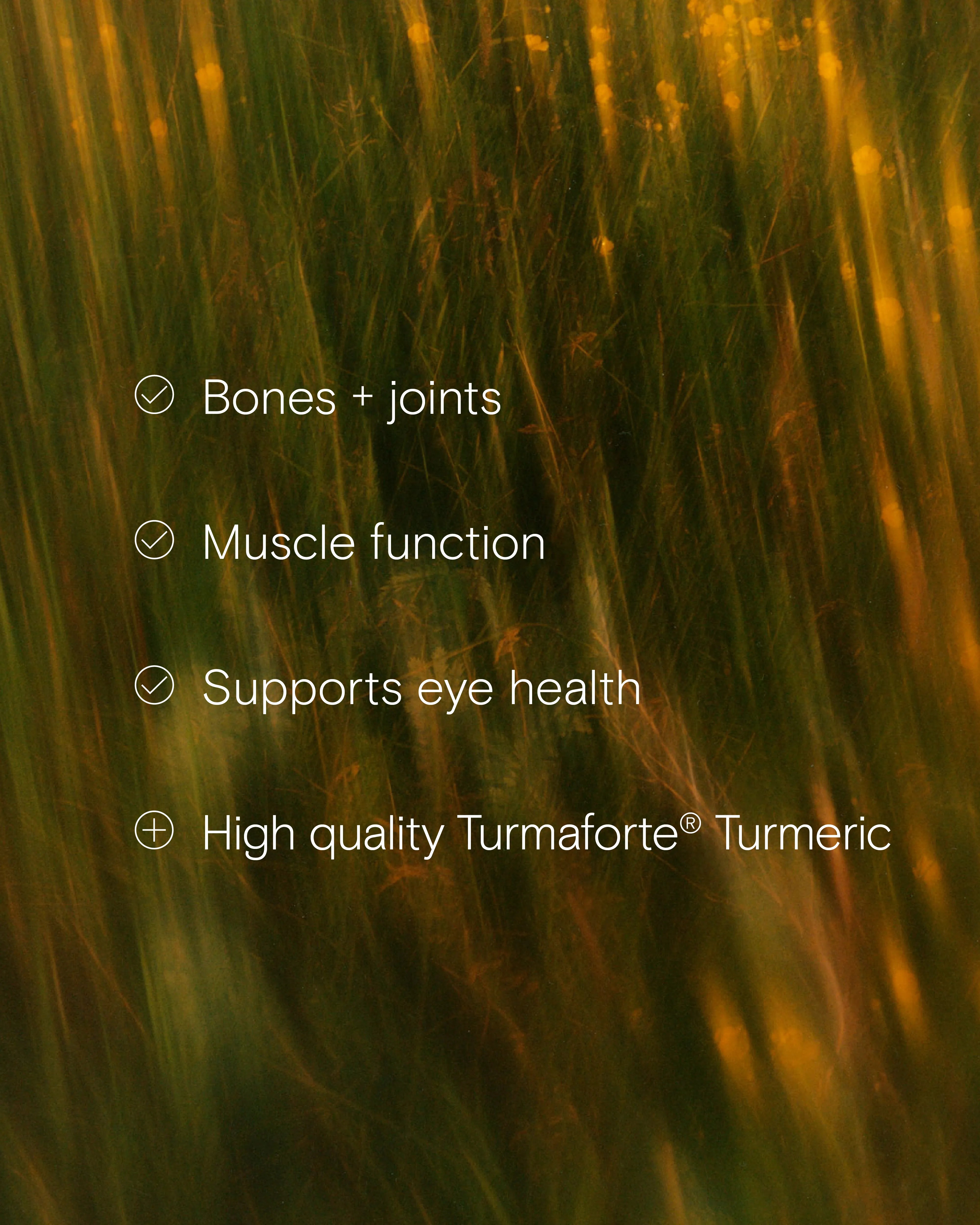 Benefits of the Joint + Bone Support Trio