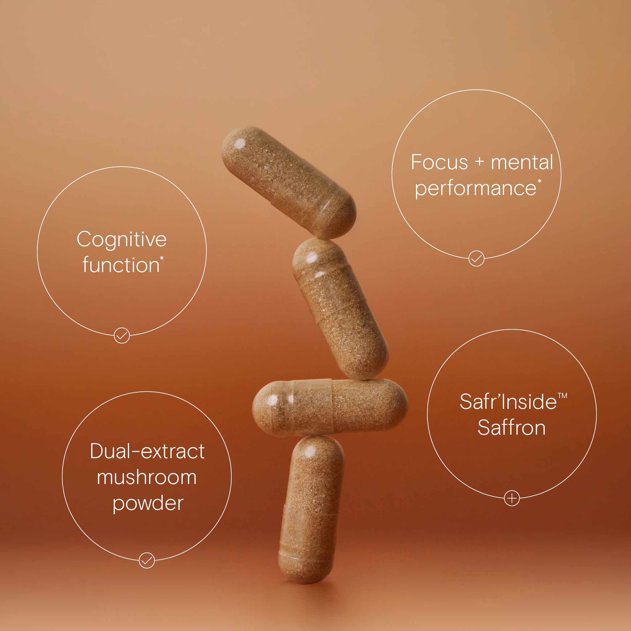 A promotional photo with Wild Nutrition's Lion's Mane Plus and it's benefits for cognitive function, focus and mental performance