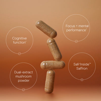 A promotional photo with Wild Nutrition's Lion's Mane Plus and it's benefits for cognitive function, focus and mental performance