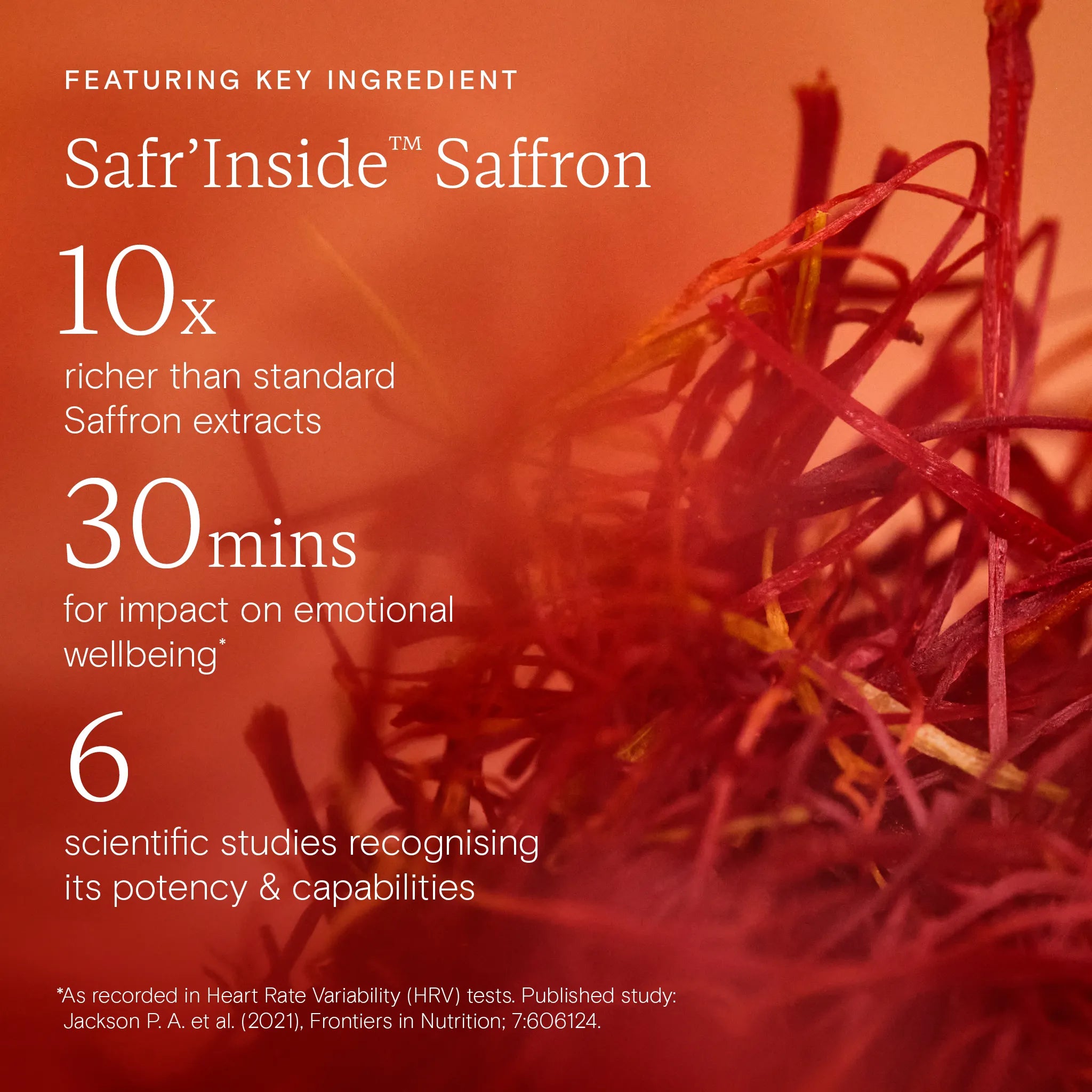 Lion's Mane Supplement for Focus & Mental Clarity Lion's Mane Supplement for Focus & Mental Clarity