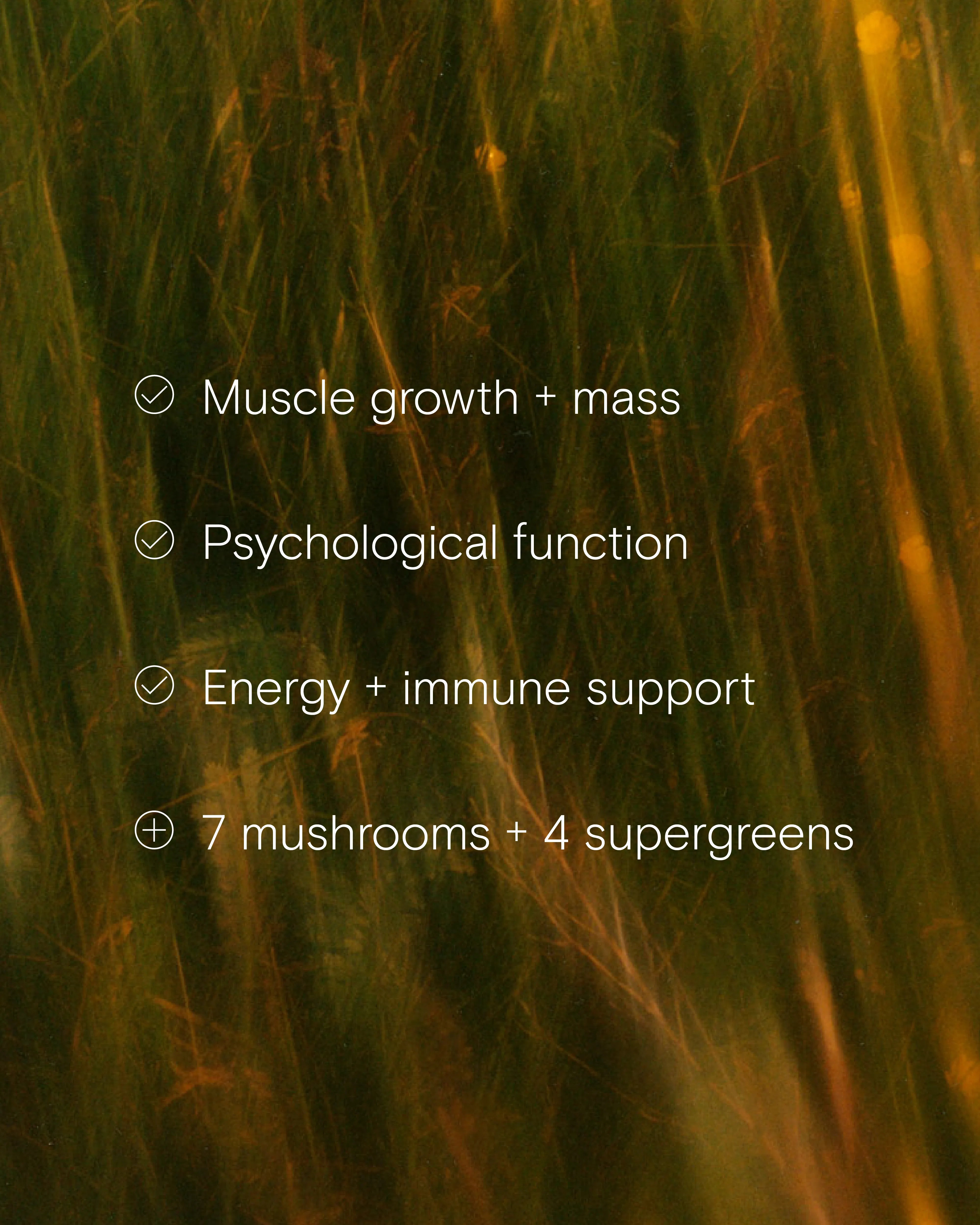 Benefits of the Organic Protein + Superfood Powder