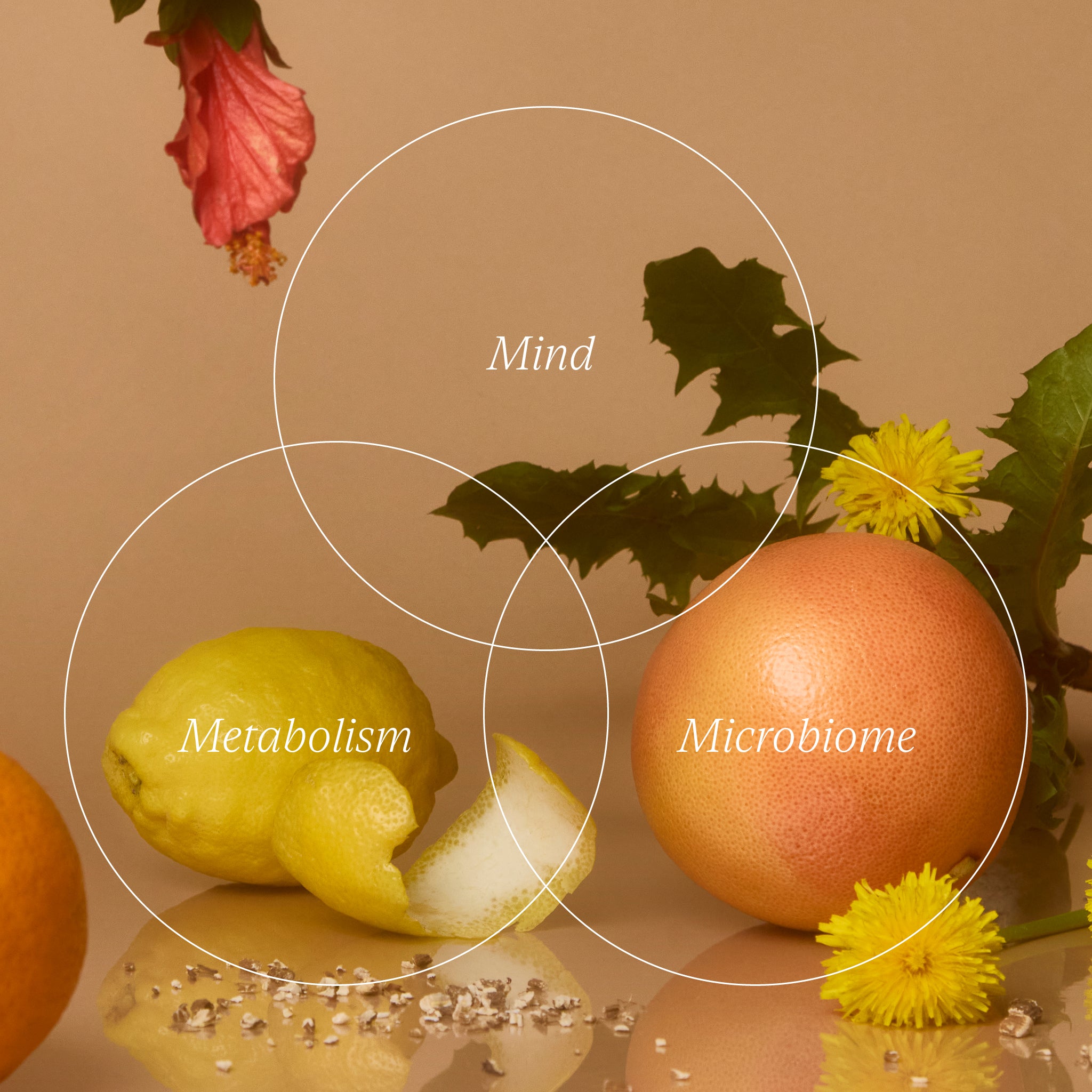 Weight management & blood glucose support supplement