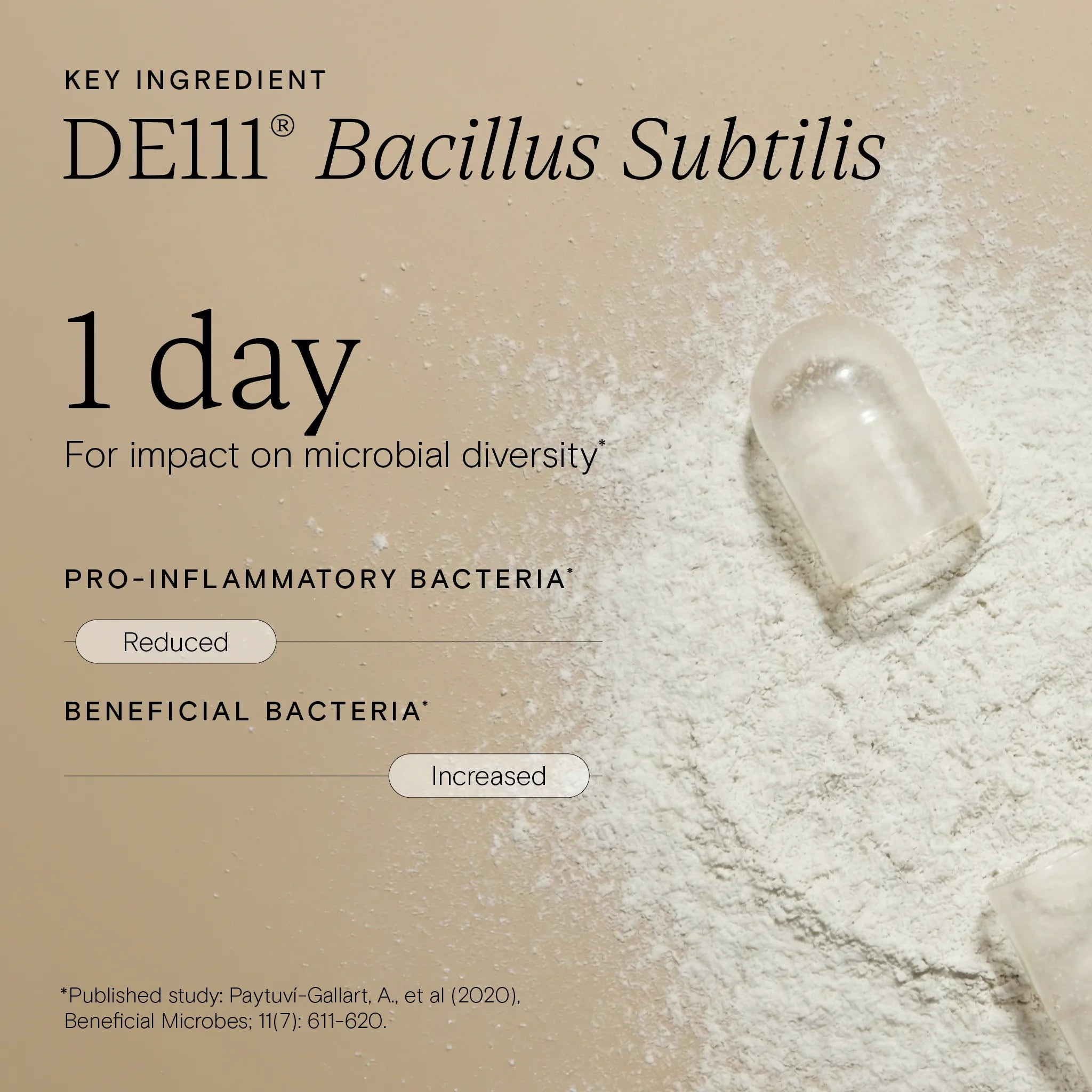 Key ingredient DE111® Bacillus Subtilis