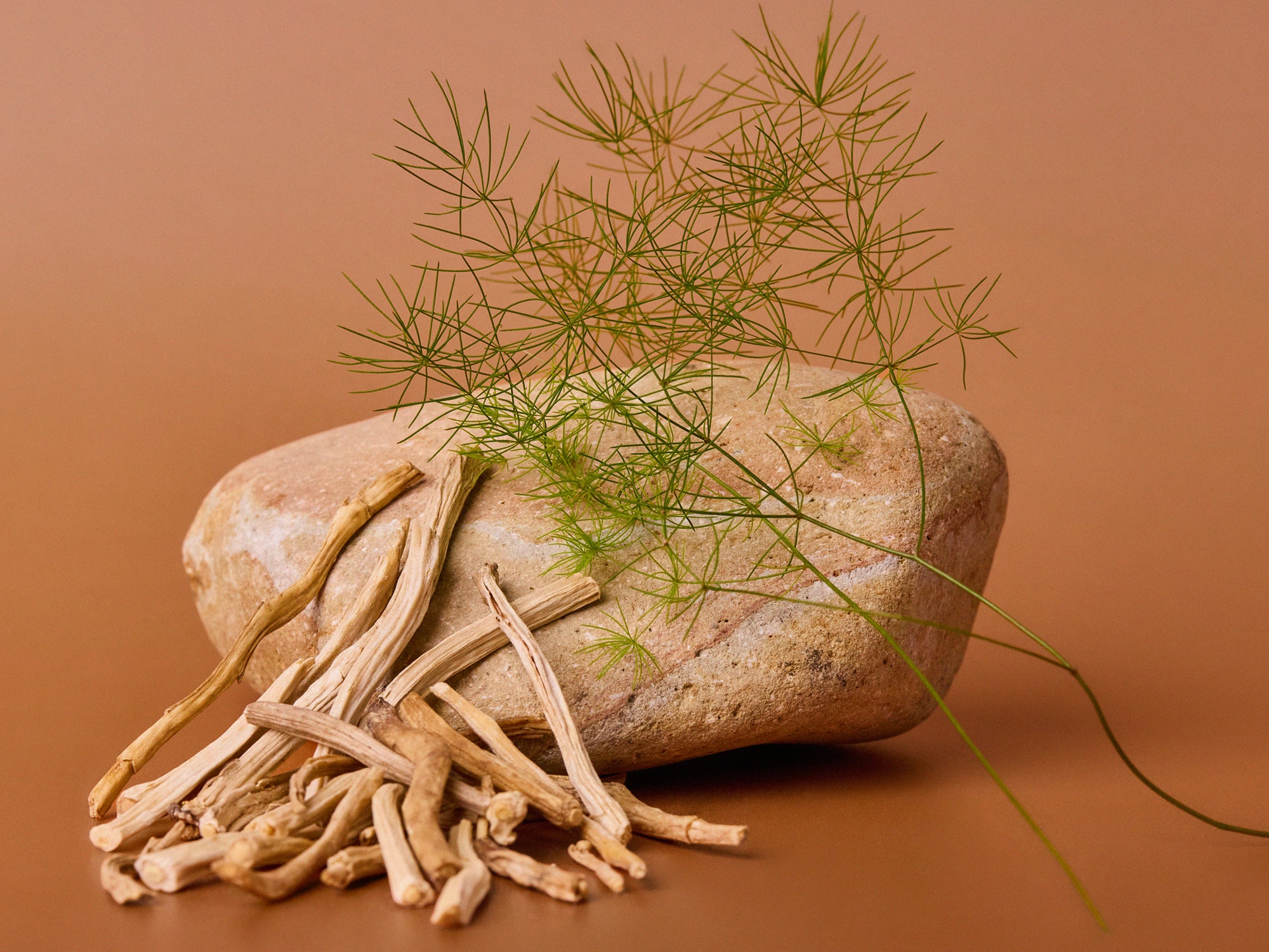 A closer look: Boswellia extract