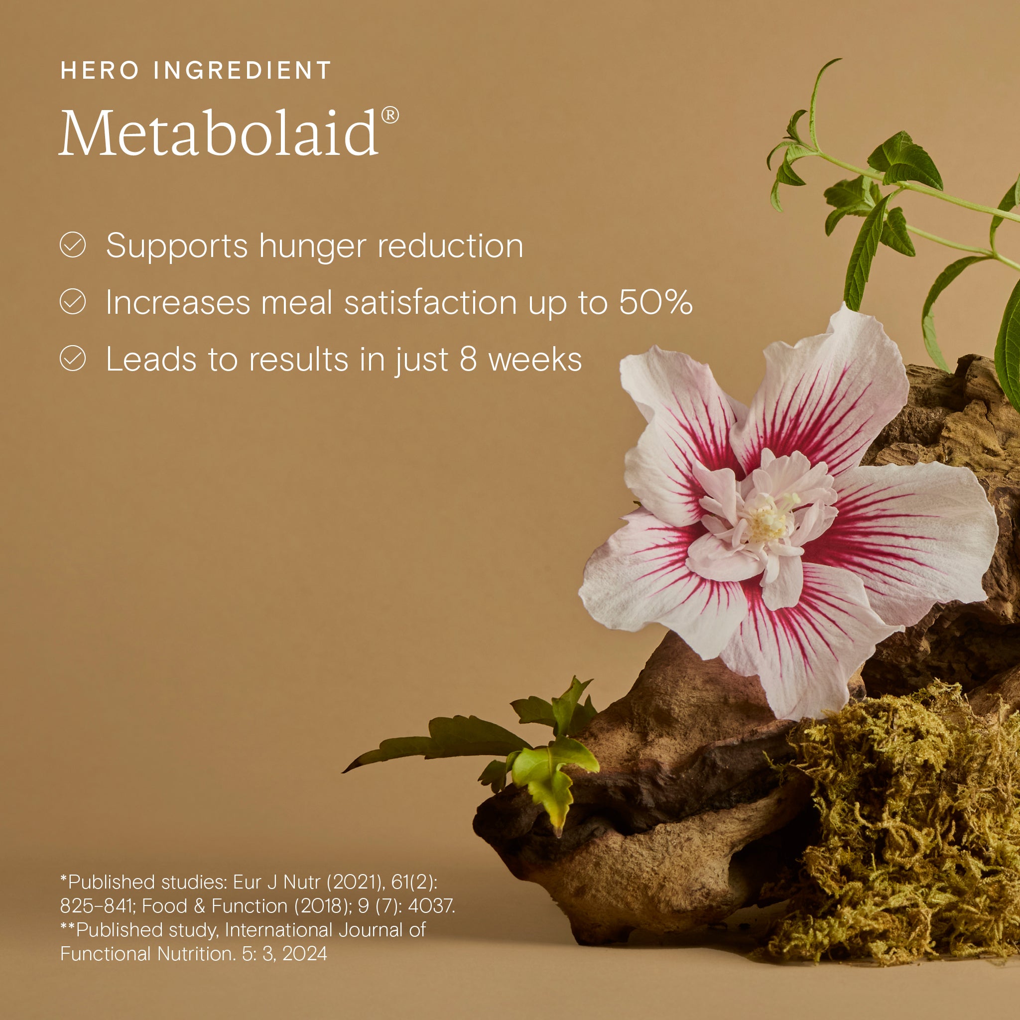 Floral arrangement with a beige background and text about Metabolaid.
