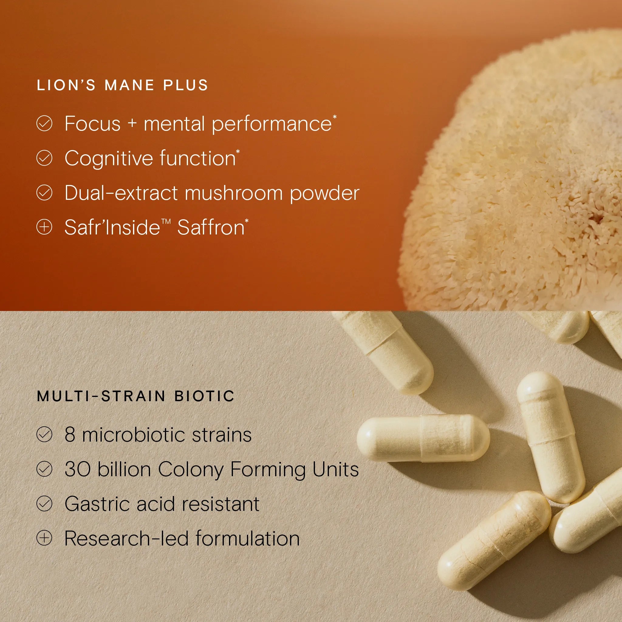 Benefits of Lion's Mane Plus and Multi Strain Biotic