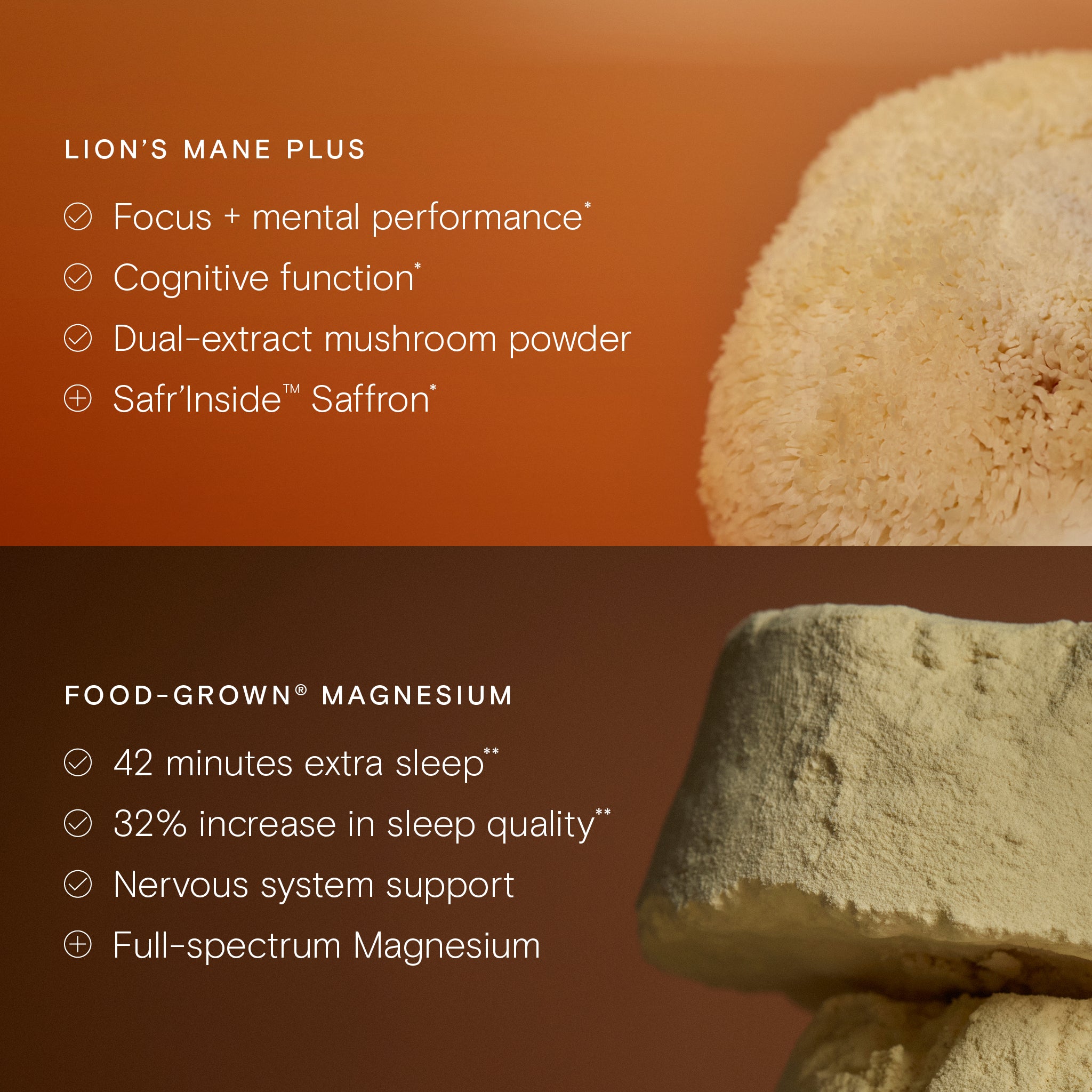 Photo of Wild Nutrition's ingredients, Lion's Mane and Magnesium and text stating four benefits of each in relation to brain health