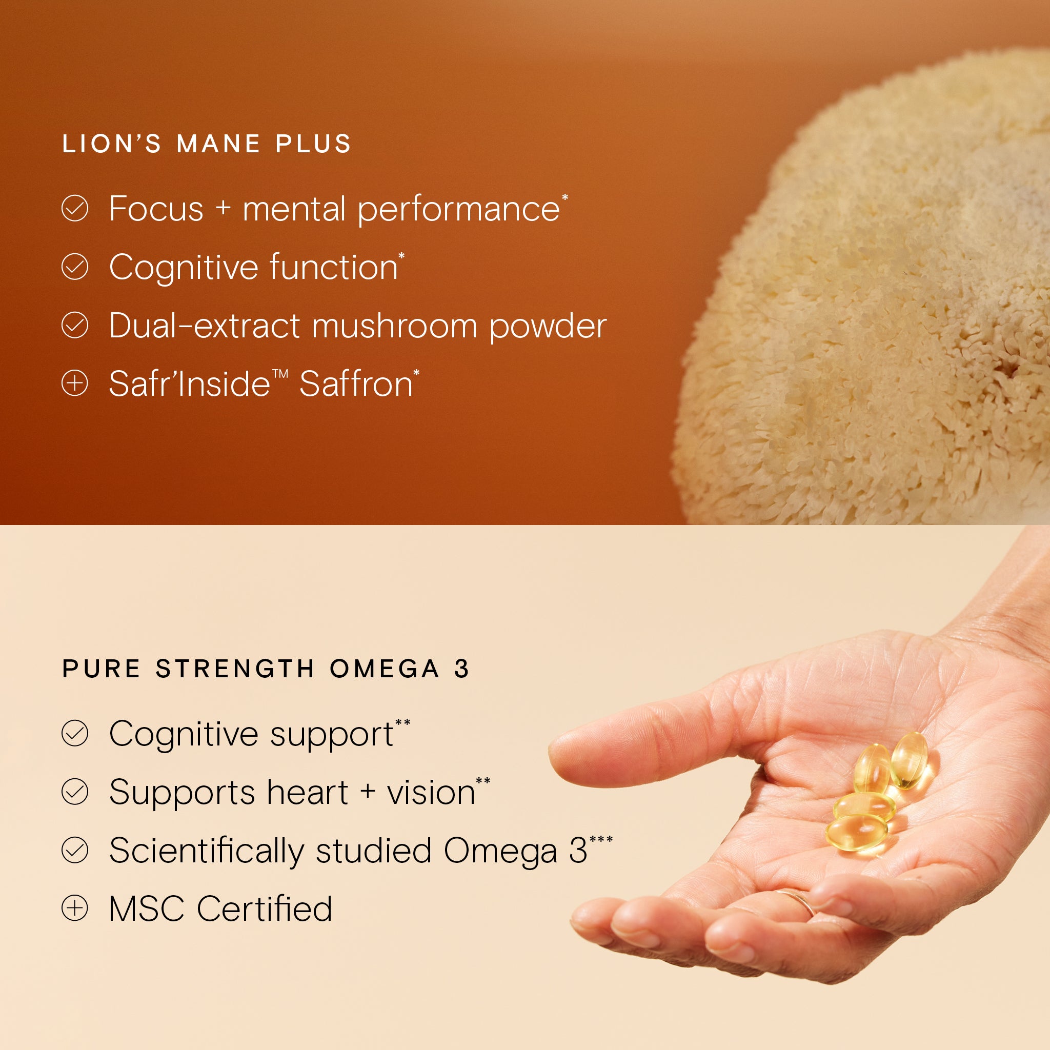 Photo of Wild Nutrition's ingredients, Lion's Mane and Omega 3, with text stating four benefits of each in relation to brain health
