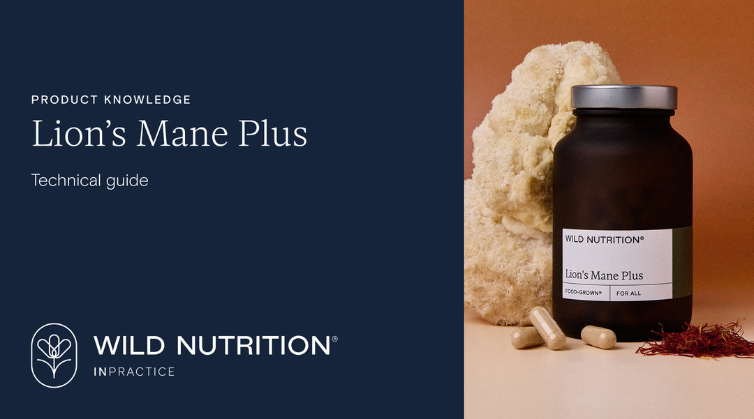 Lion's Mane Technical Guide | PRACTITIONERS ONLY | Wild Nutrition