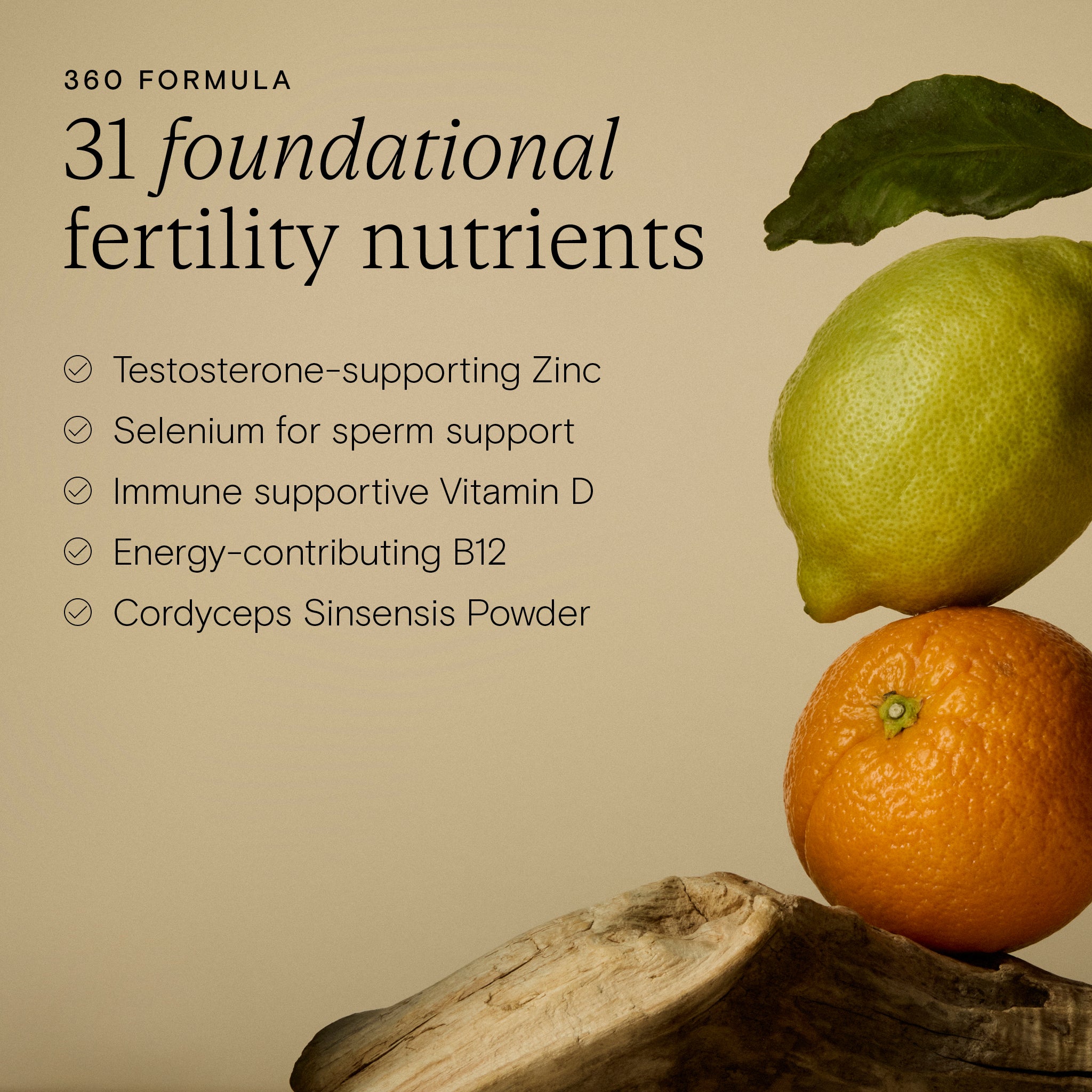 Benefits of the Fertility Support for Men