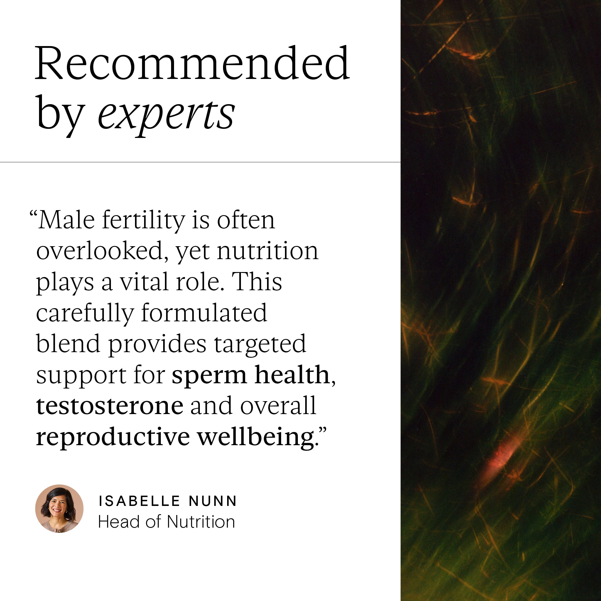 Expert quote on Wild Nutrition's Fertility Support for Men