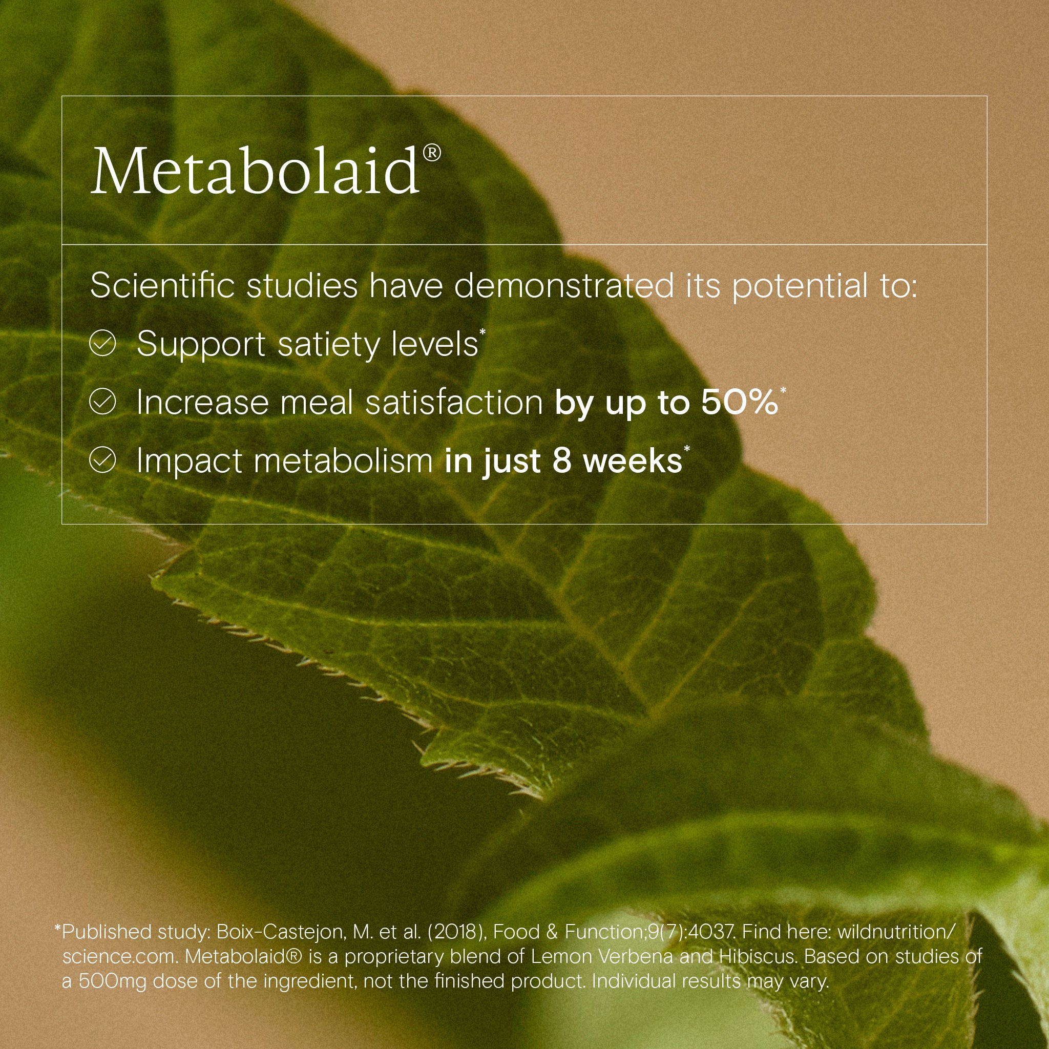 Close-up of a leaf with Metabolaid product information overlay