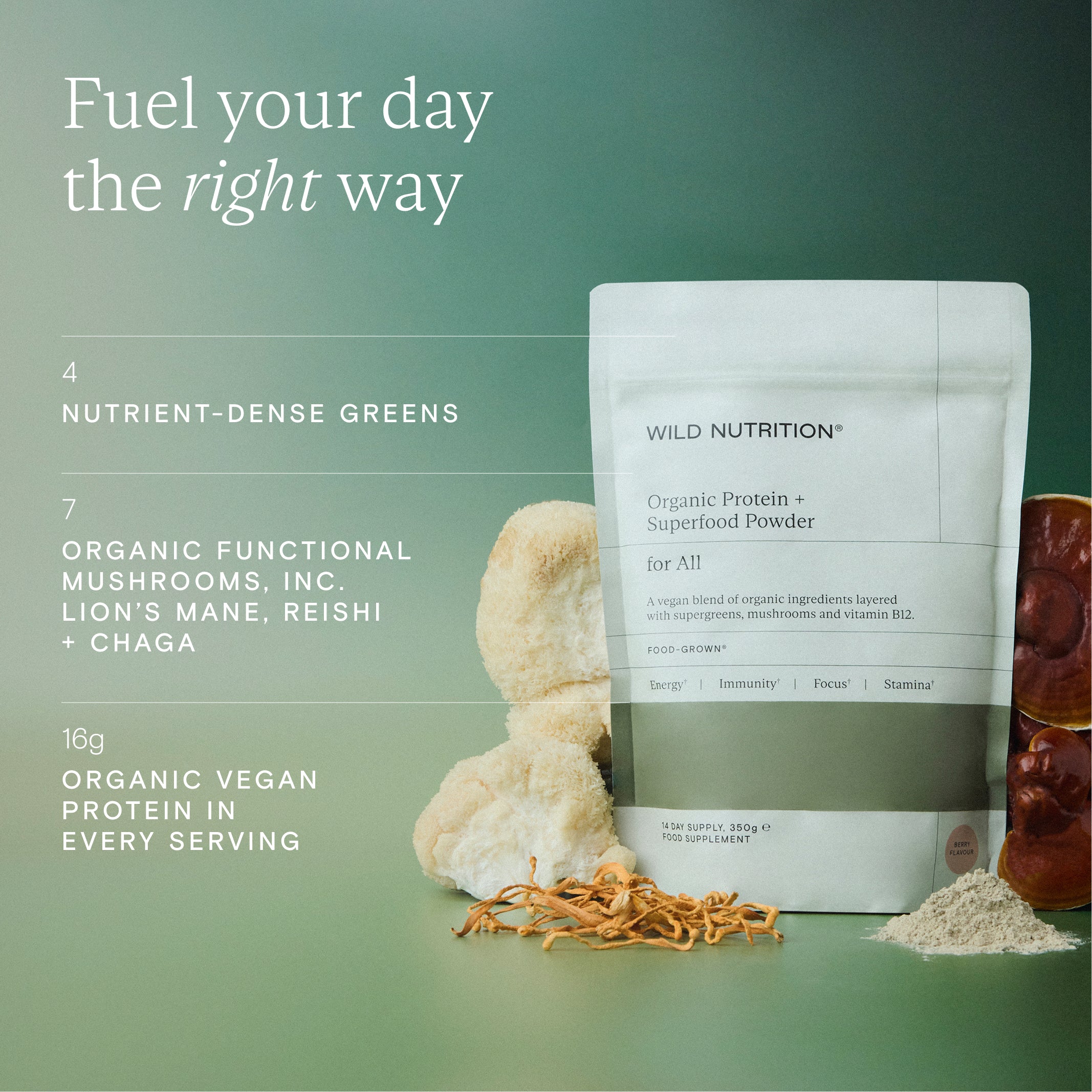 Organic Protein + Superfood Powder | Wild Nutrition