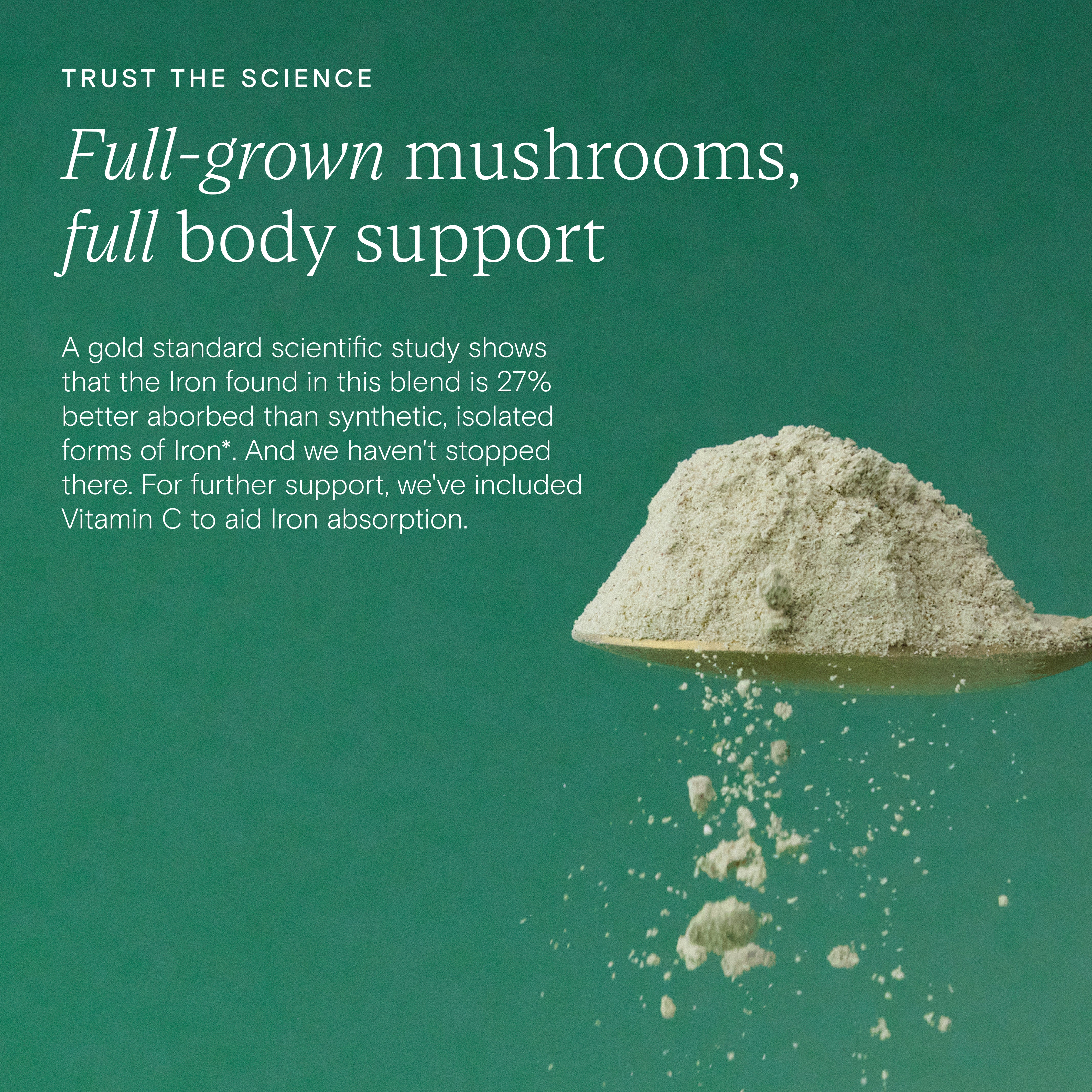 Organic Protein + Superfood Powder | Wild Nutrition