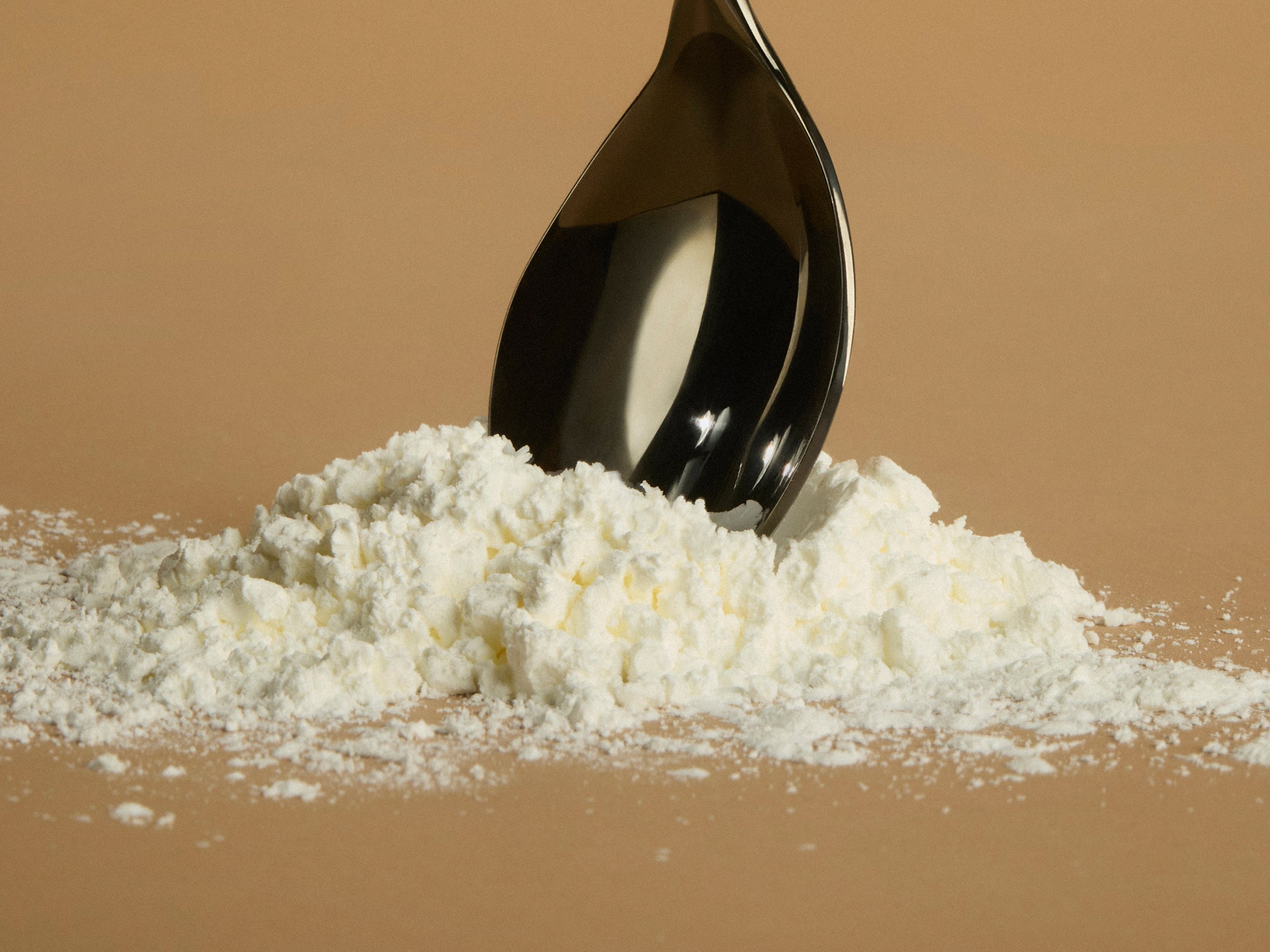 A closer look: Lactobacillus fermentum