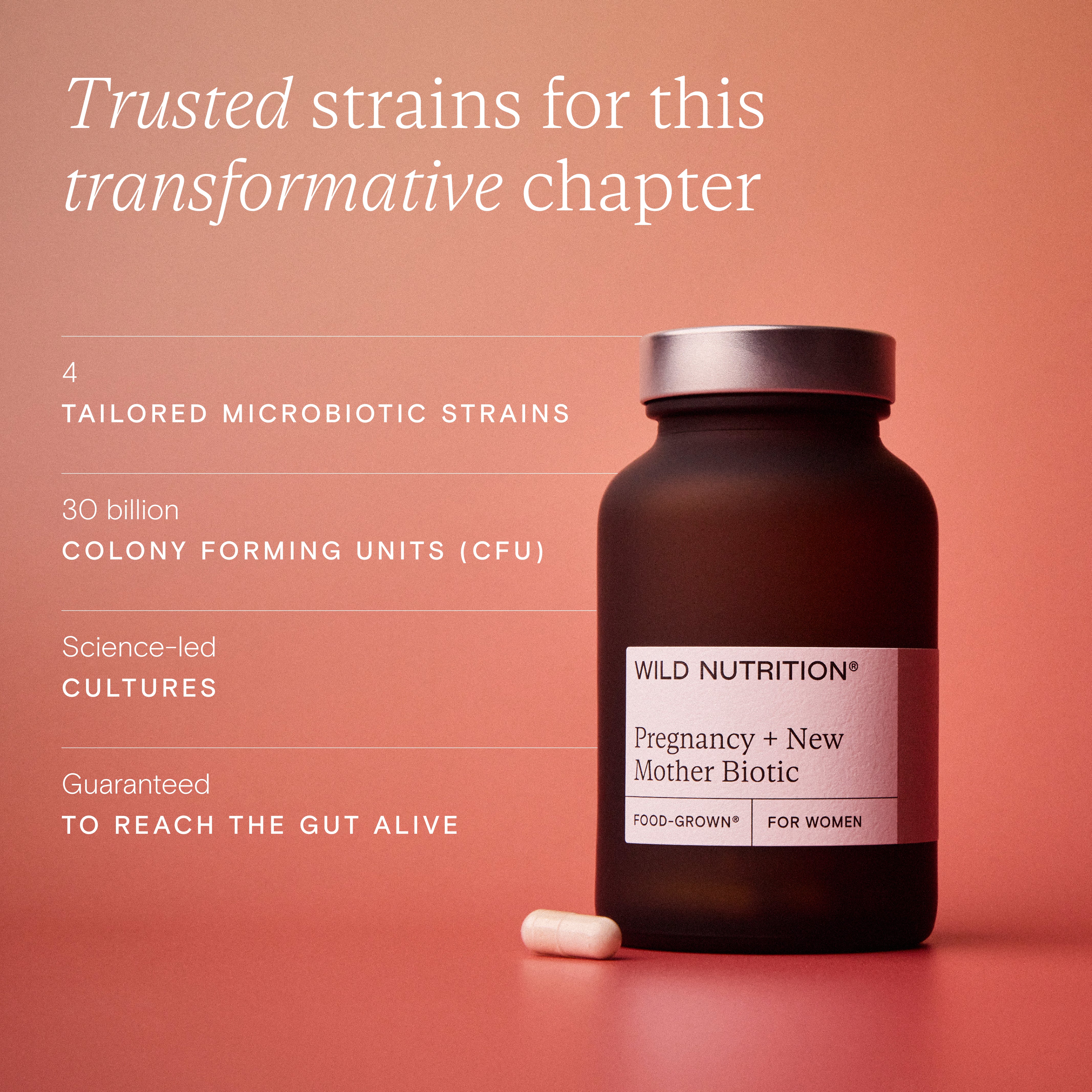 Pregnancy + New Mother Biotic | Wild Nutrition