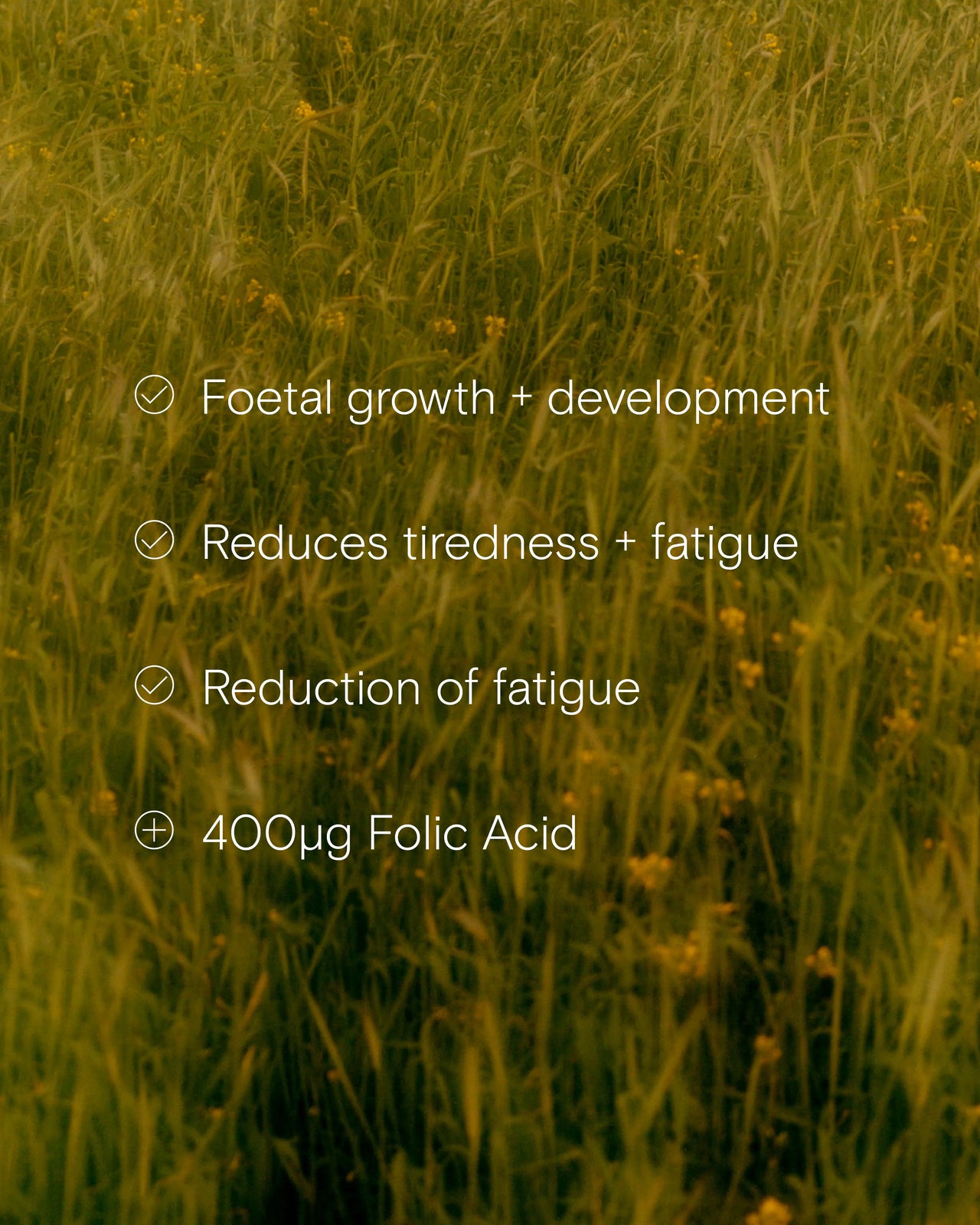 Benefits of Wild Nutrition's Pregnancy + New Mother Multi
