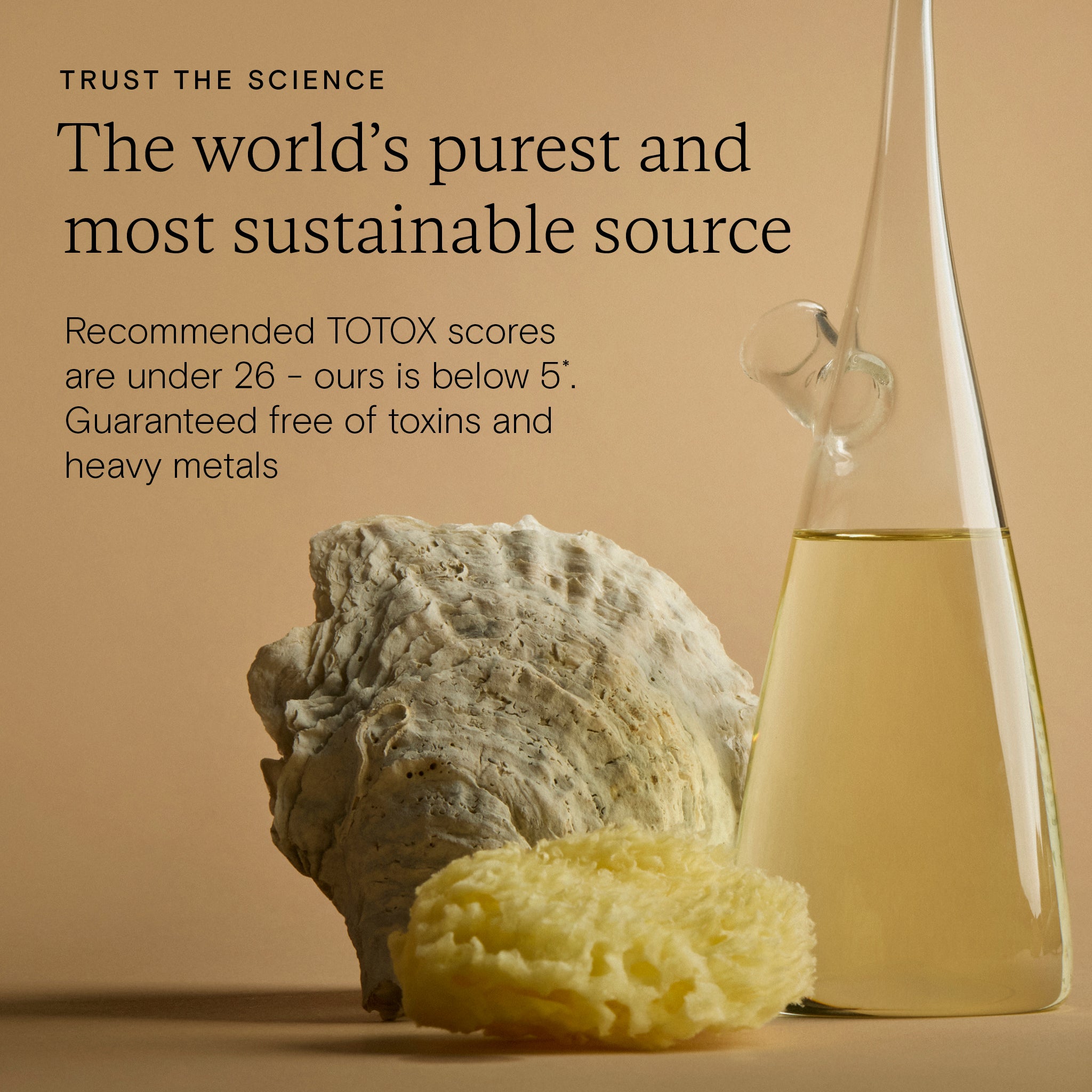 Bottle of liquid with a shell and sponge on a beige background, promoting purity and sustainability for Wild nutrition pregnancy omega 3 supplement.