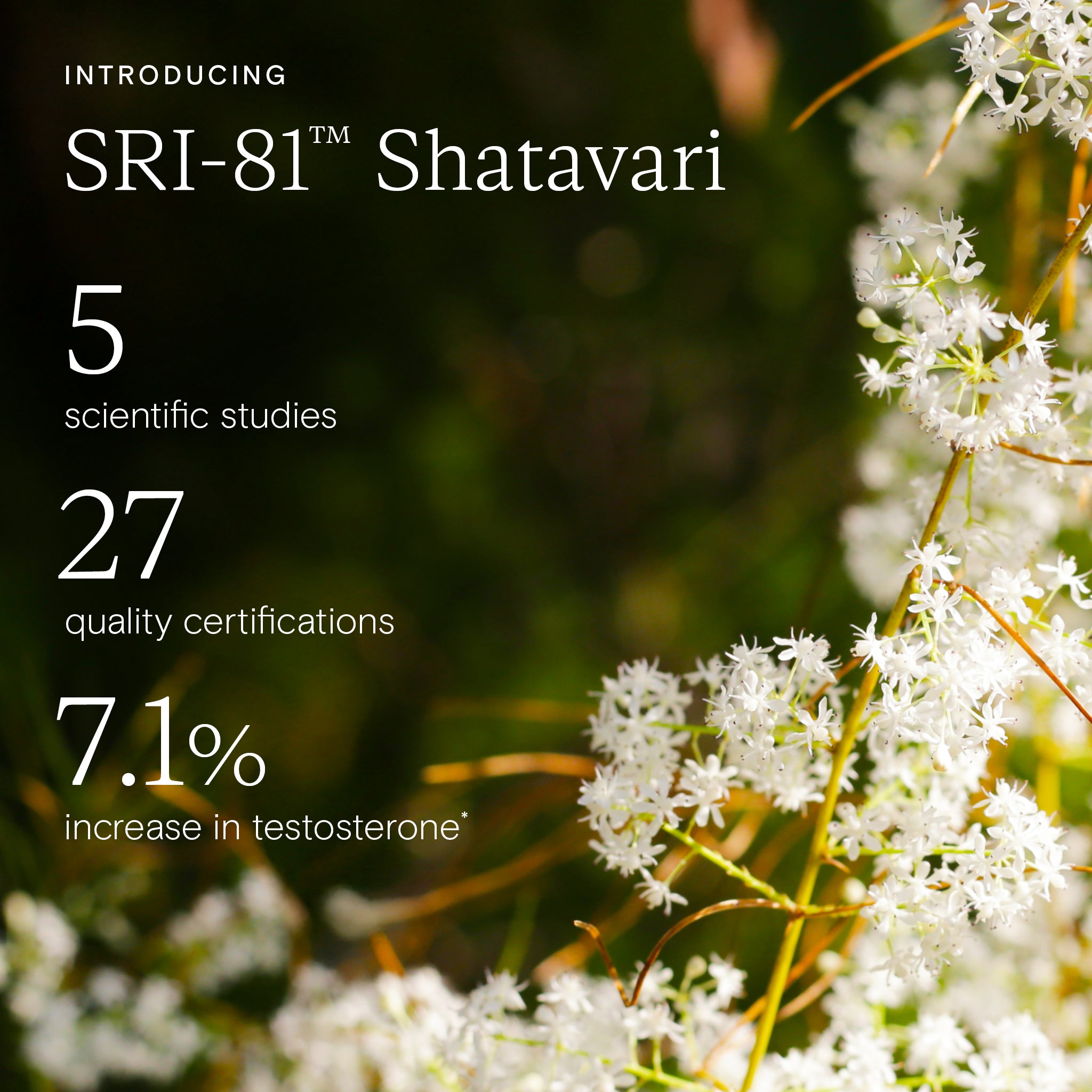 Scientific benefits of SRI-81™ Shatavari Plus 