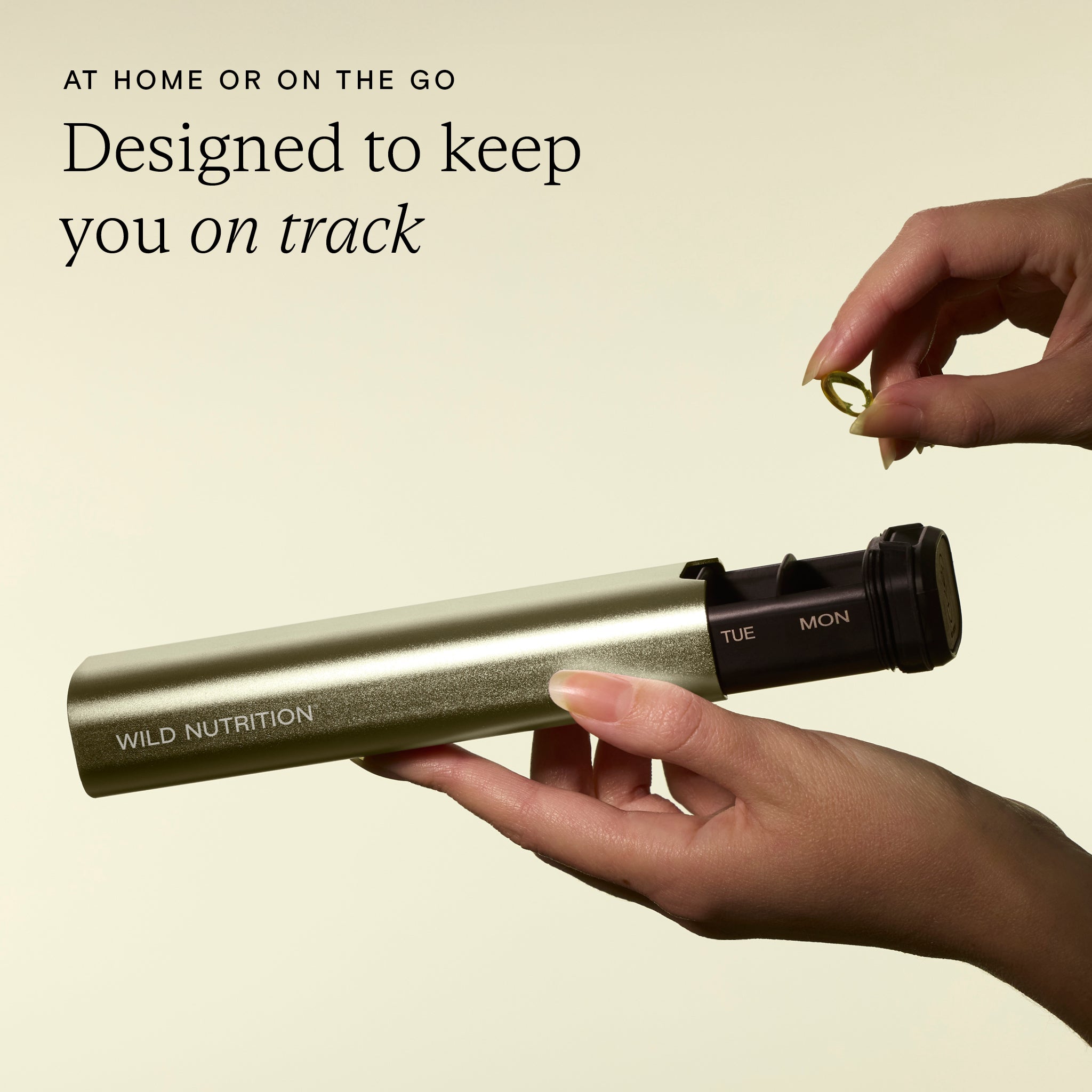 The Wild Traveller Pill Box