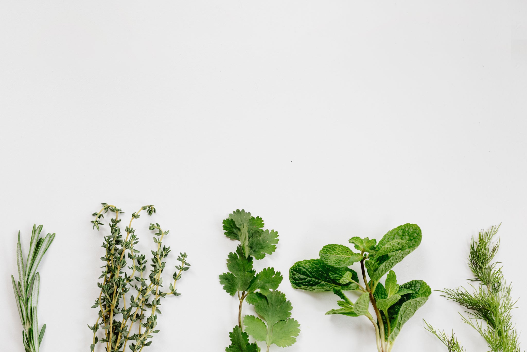 Our ingredients | Wild Nutrition