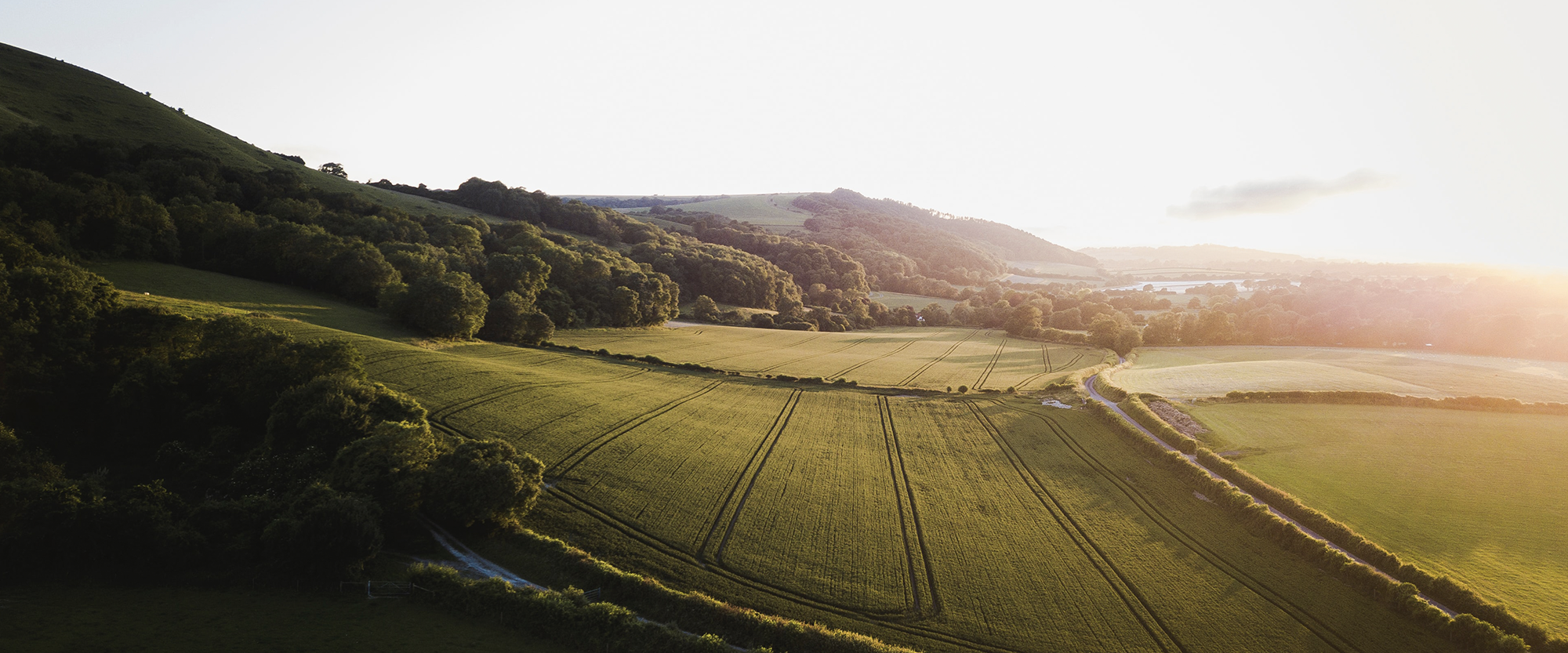 Our story | Wild Nutrition