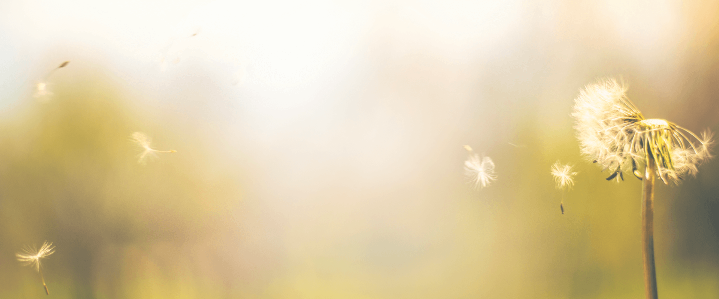 Supporting your fertility journey | Wild Nutrition