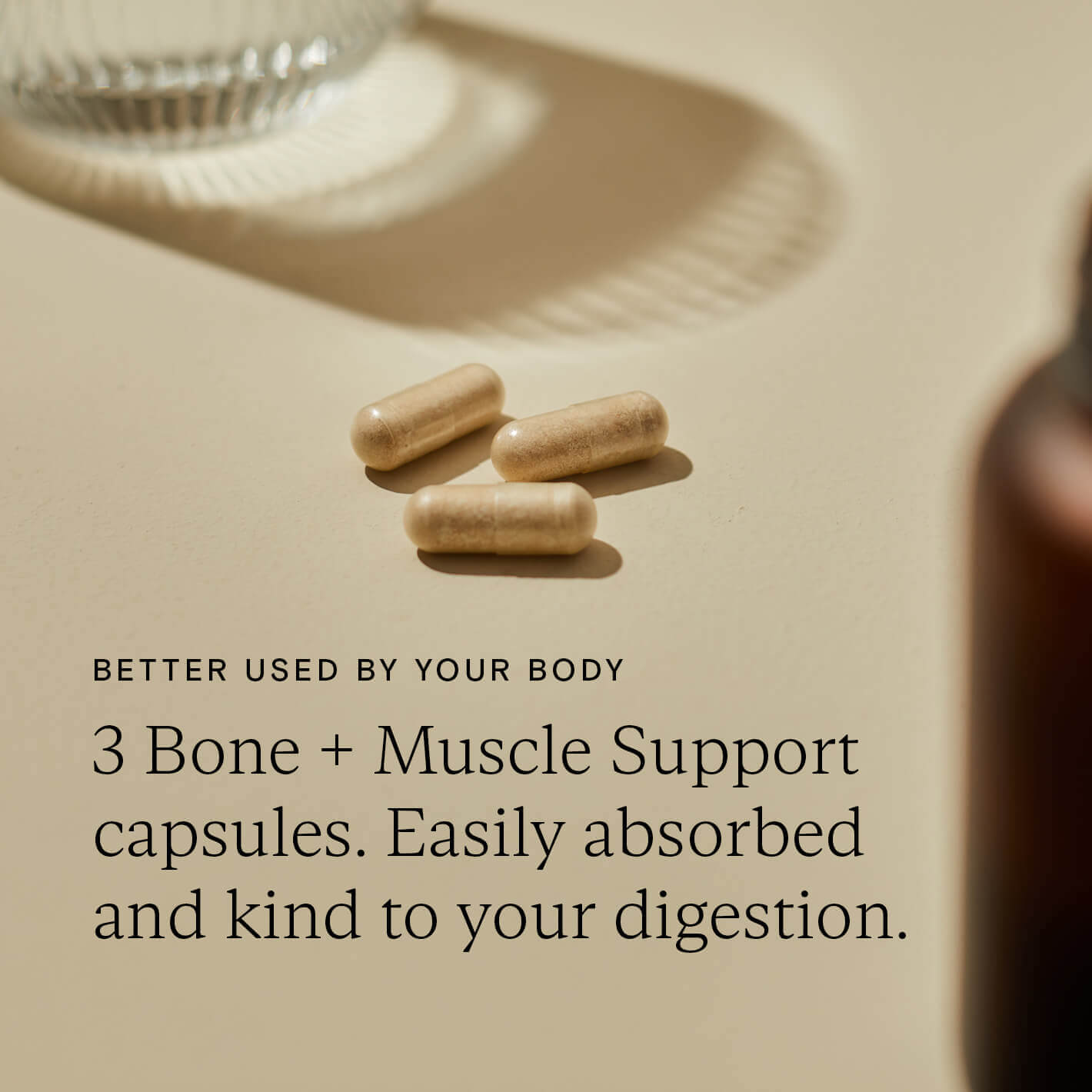 Bone + Muscle Support | Natural Supplements
