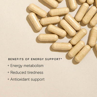 Energy Support Supplement Benefits