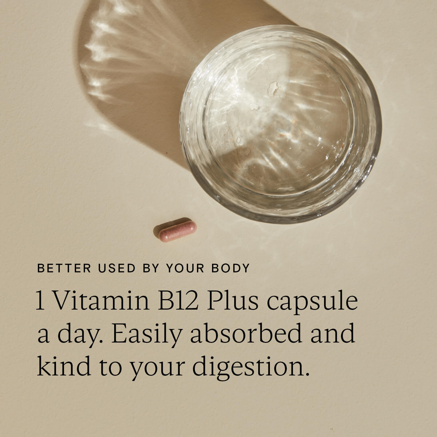 Food-Grown Vitamin B12 Plus | Natural Supplements Food-Grown Vitamin B12 Plus | Natural Supplements