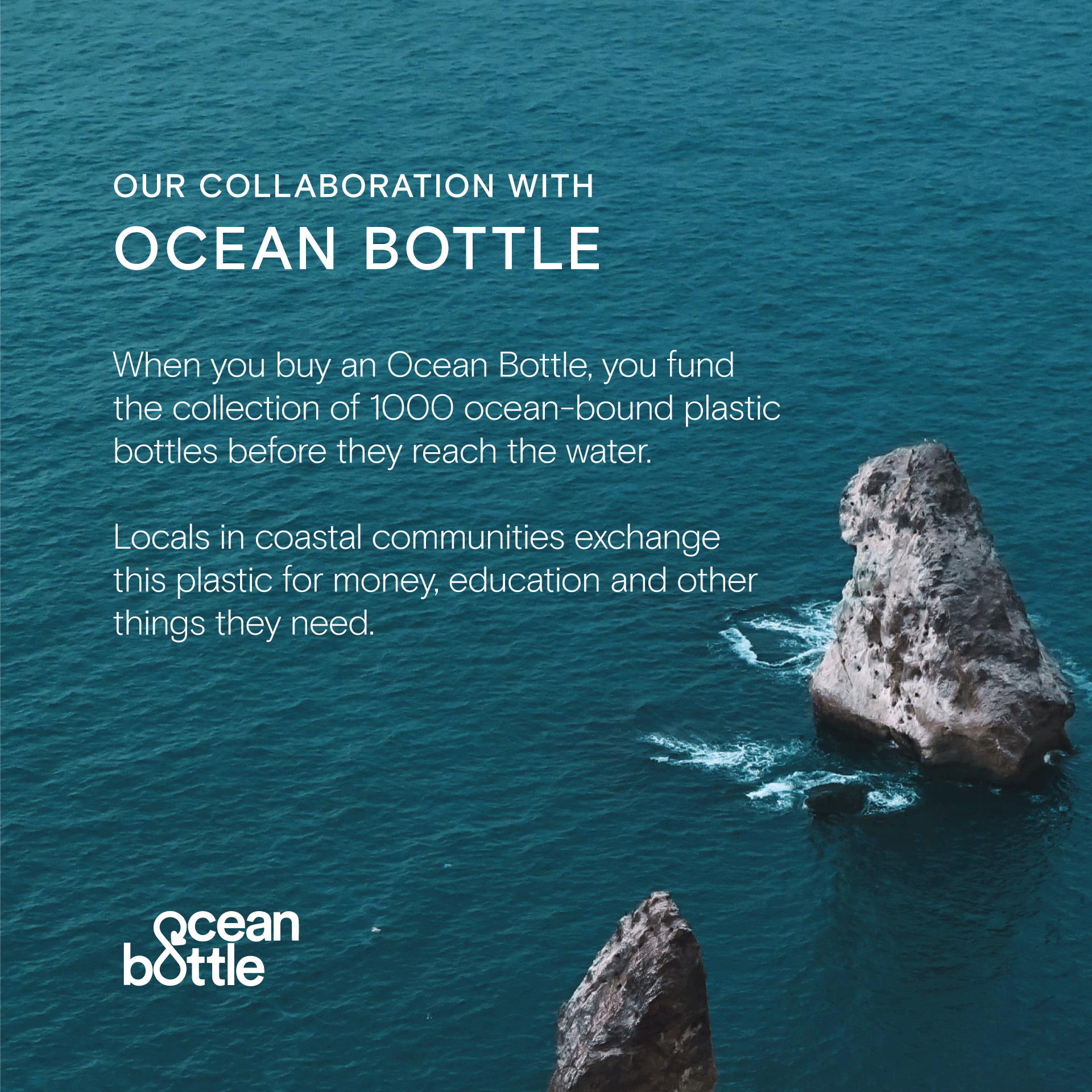 Ocean Bottle x Wild Nutrition